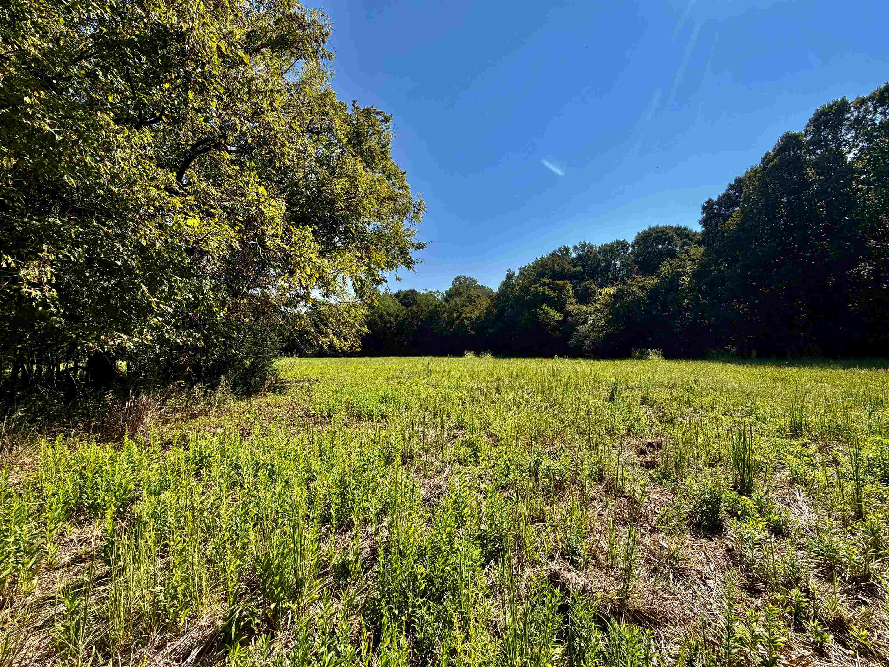 21.10 Acres Terry Rd Property Photo 5