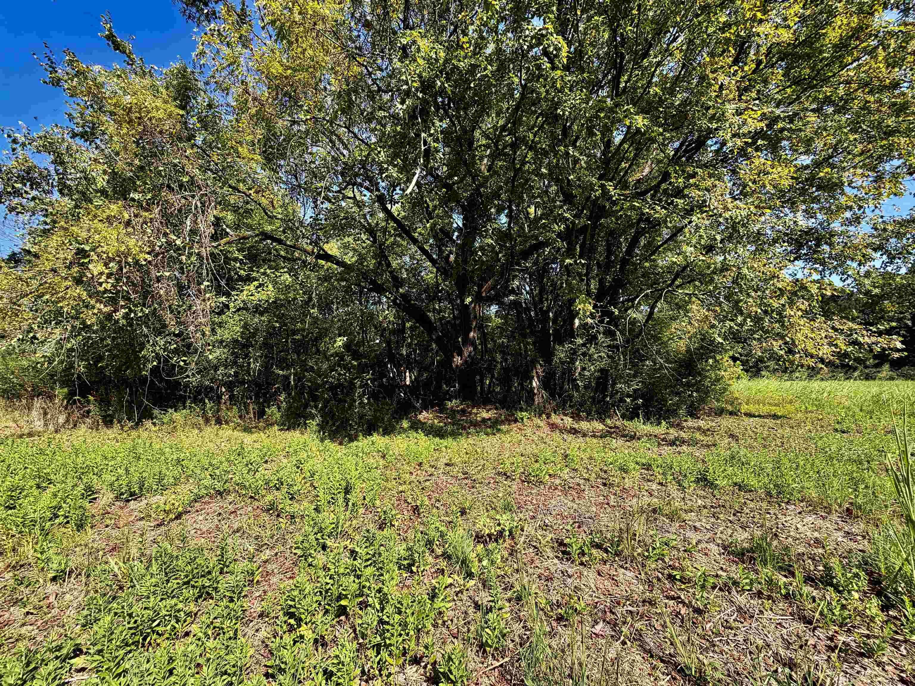 21.10 Acres Terry Rd Property Photo 6