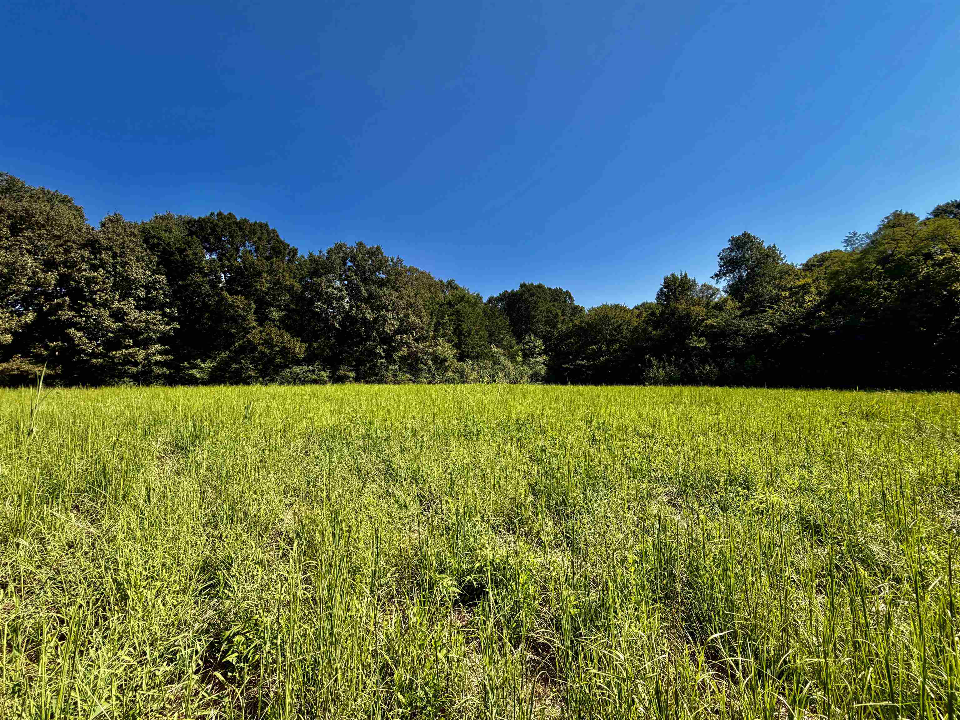 21.10 Acres Terry Rd Property Photo 7