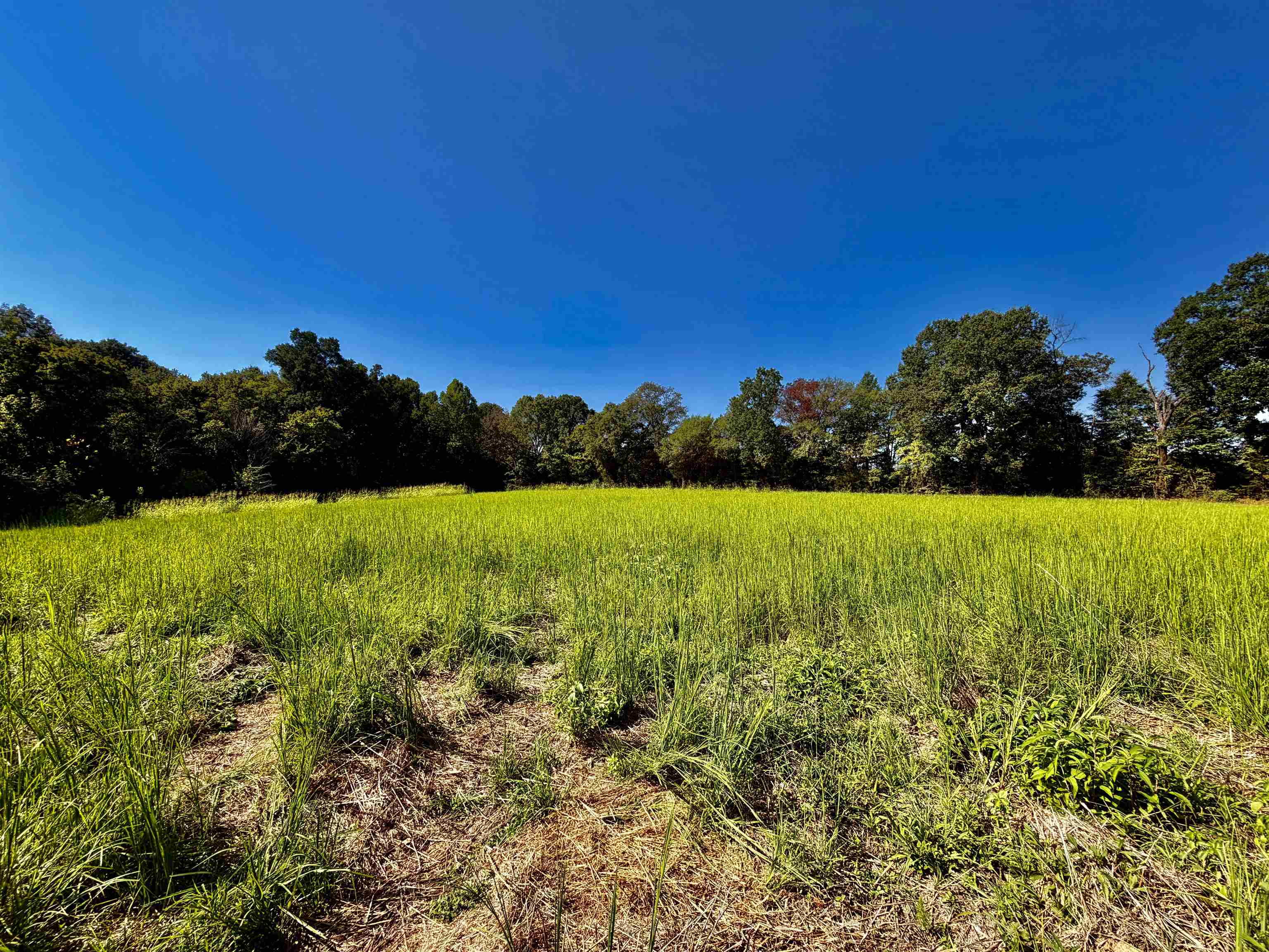 21.10 Acres Terry Rd Property Photo 8