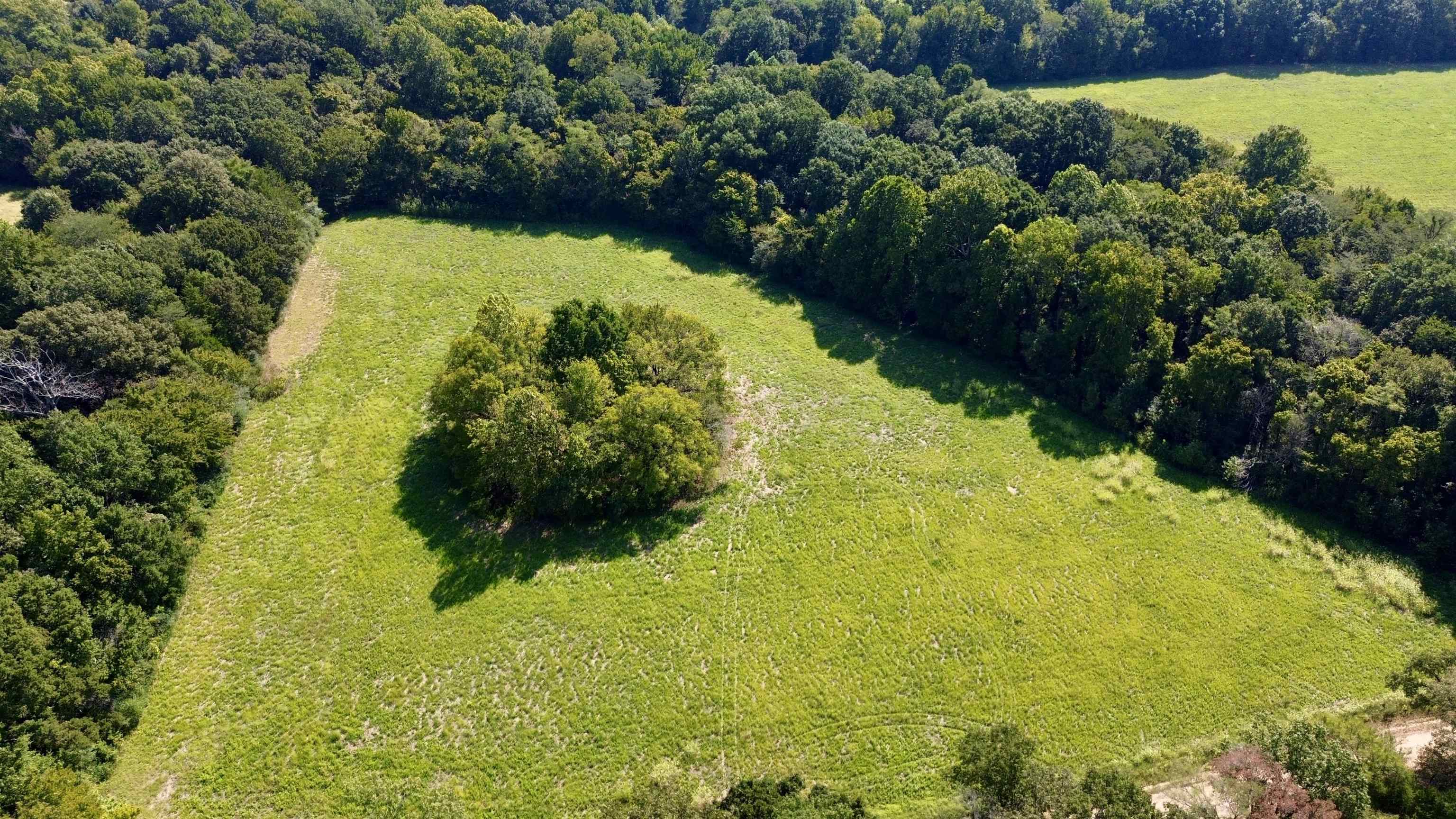 21.10 Acres Terry Rd Property Photo 9