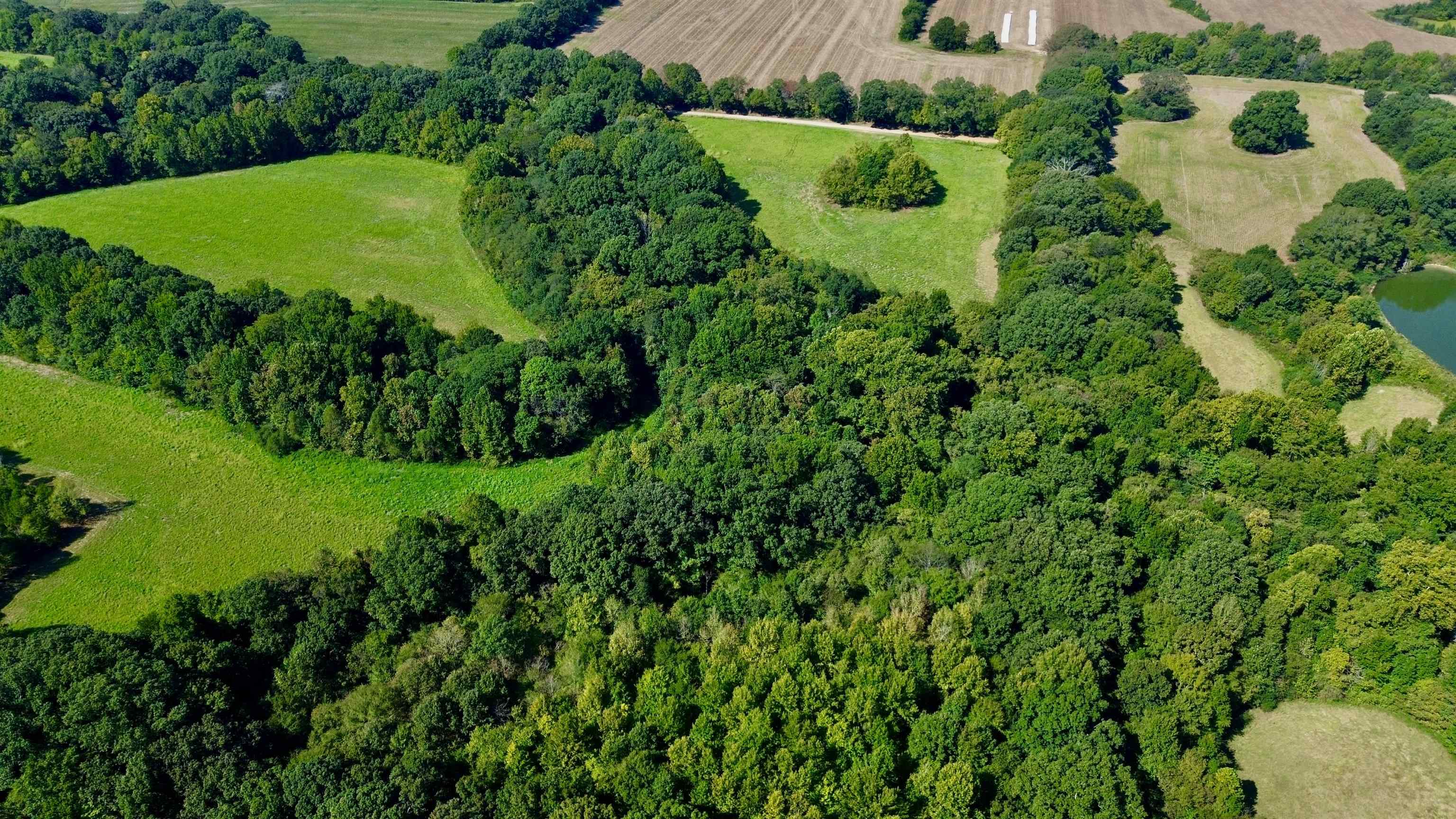 21.10 Acres Terry Rd Property Photo 10