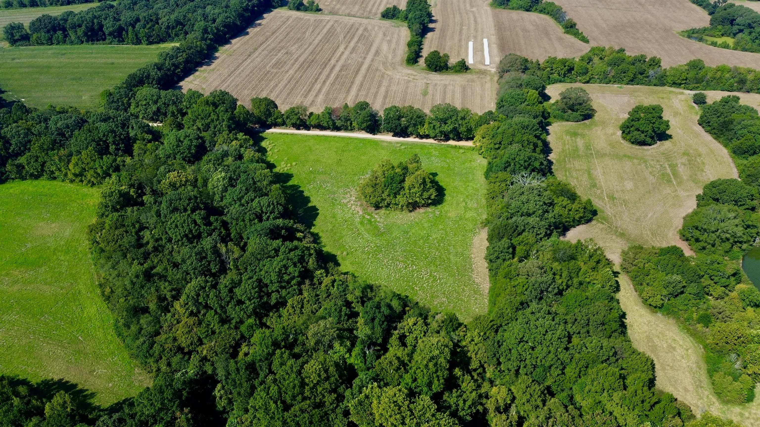 21.10 Acres Terry Rd Property Photo 11