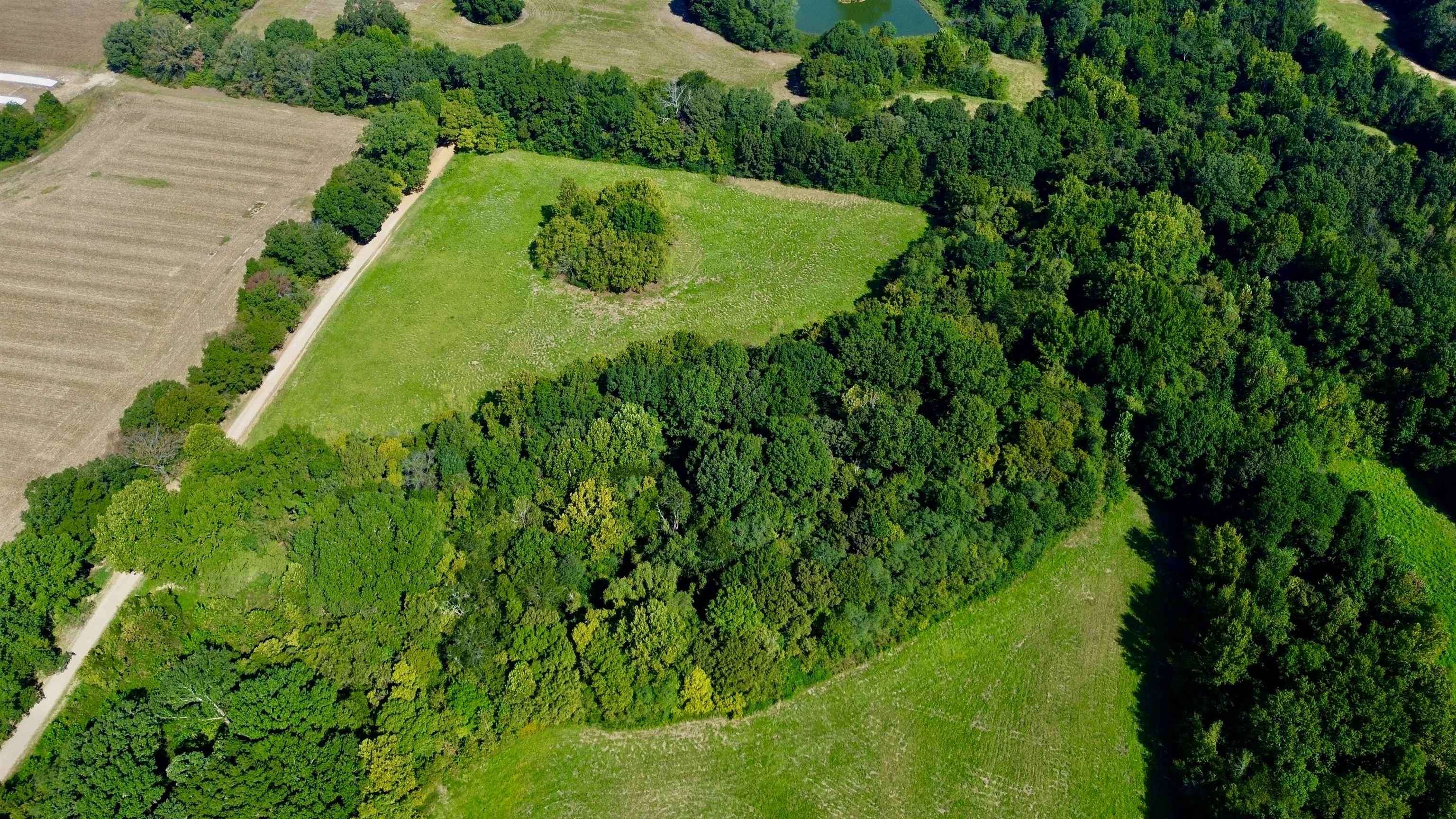 21.10 Acres Terry Rd Property Photo 12
