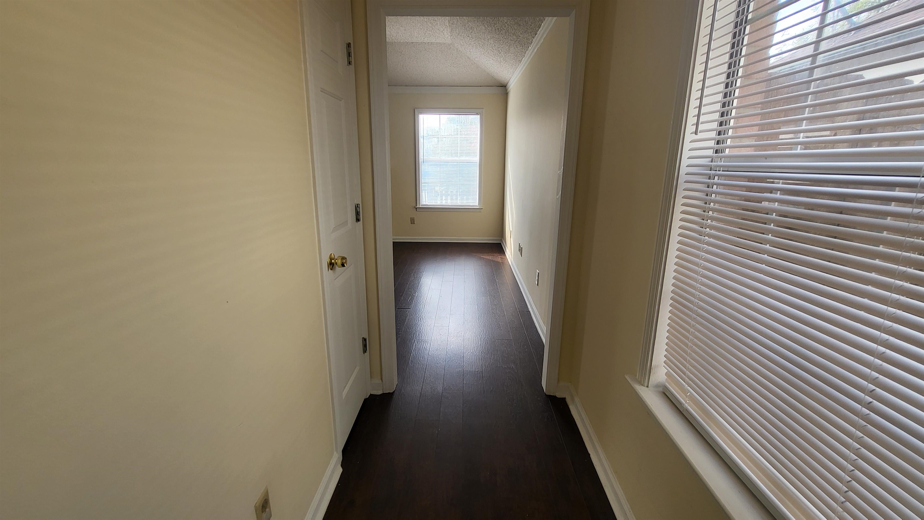 2232 Lake Springs Rd Property Photo 2