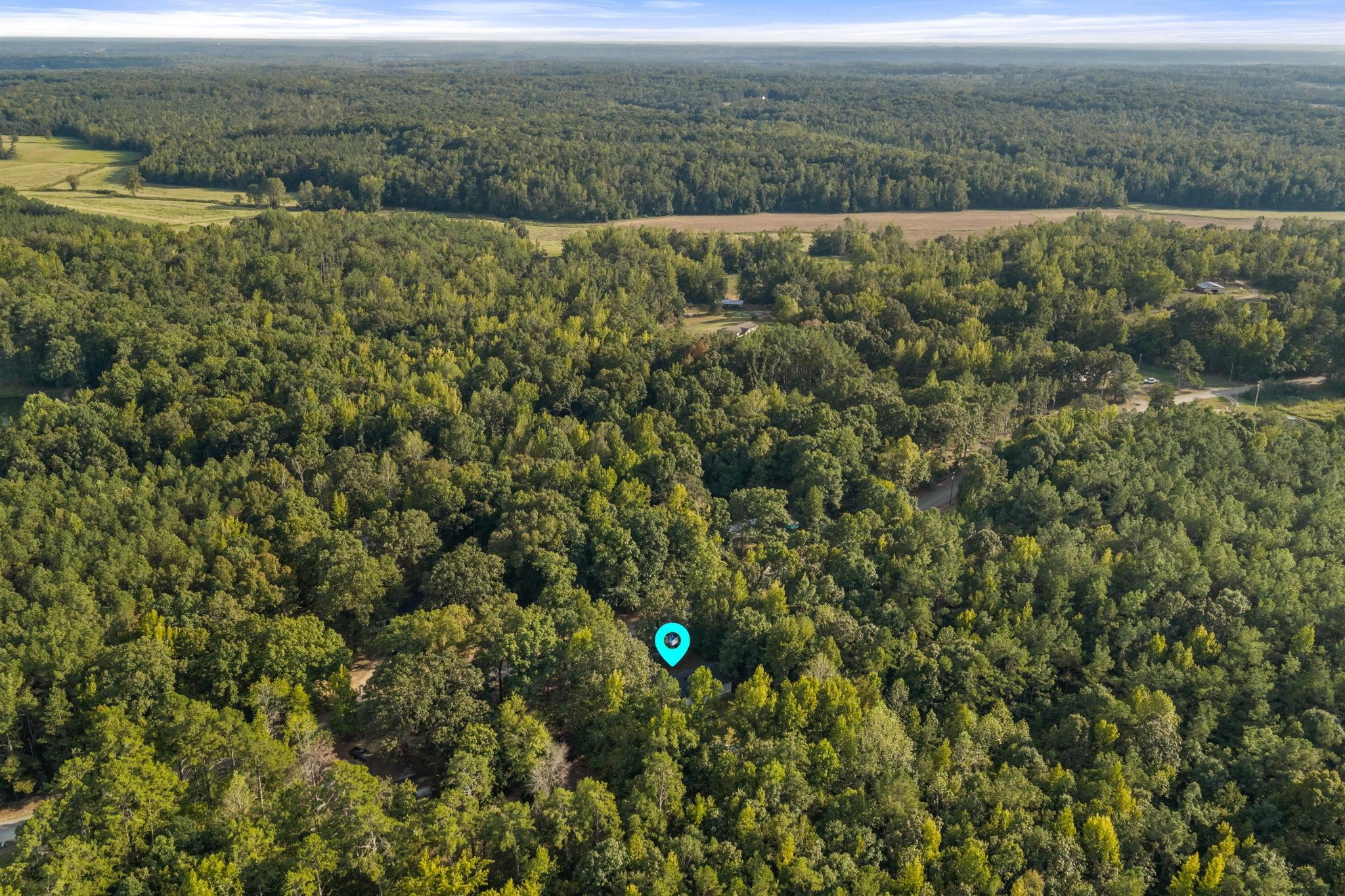 5584 Ramer Selmer Rd Property Photo 32
