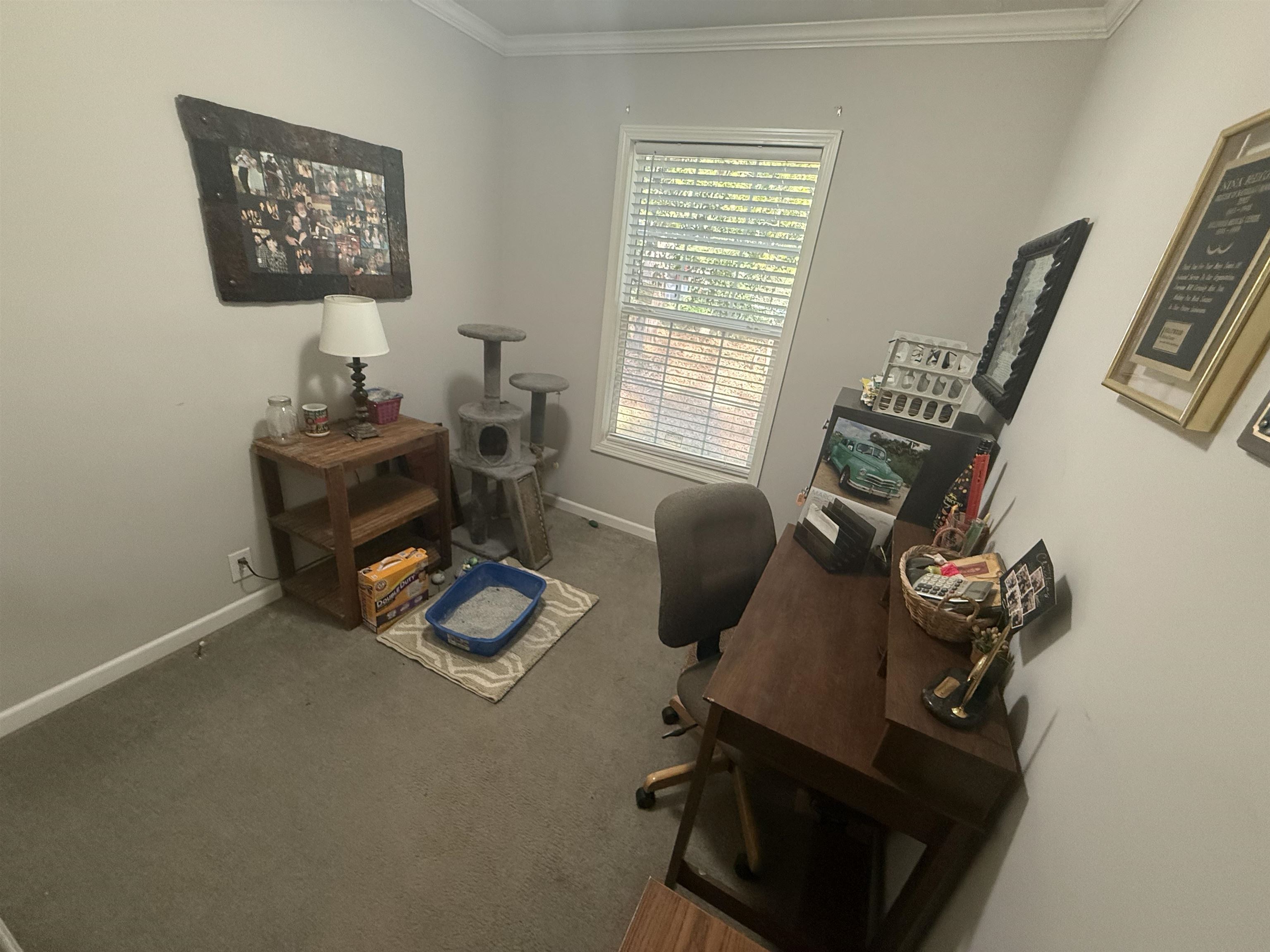 185 Pinetree Rd Property Photo 23