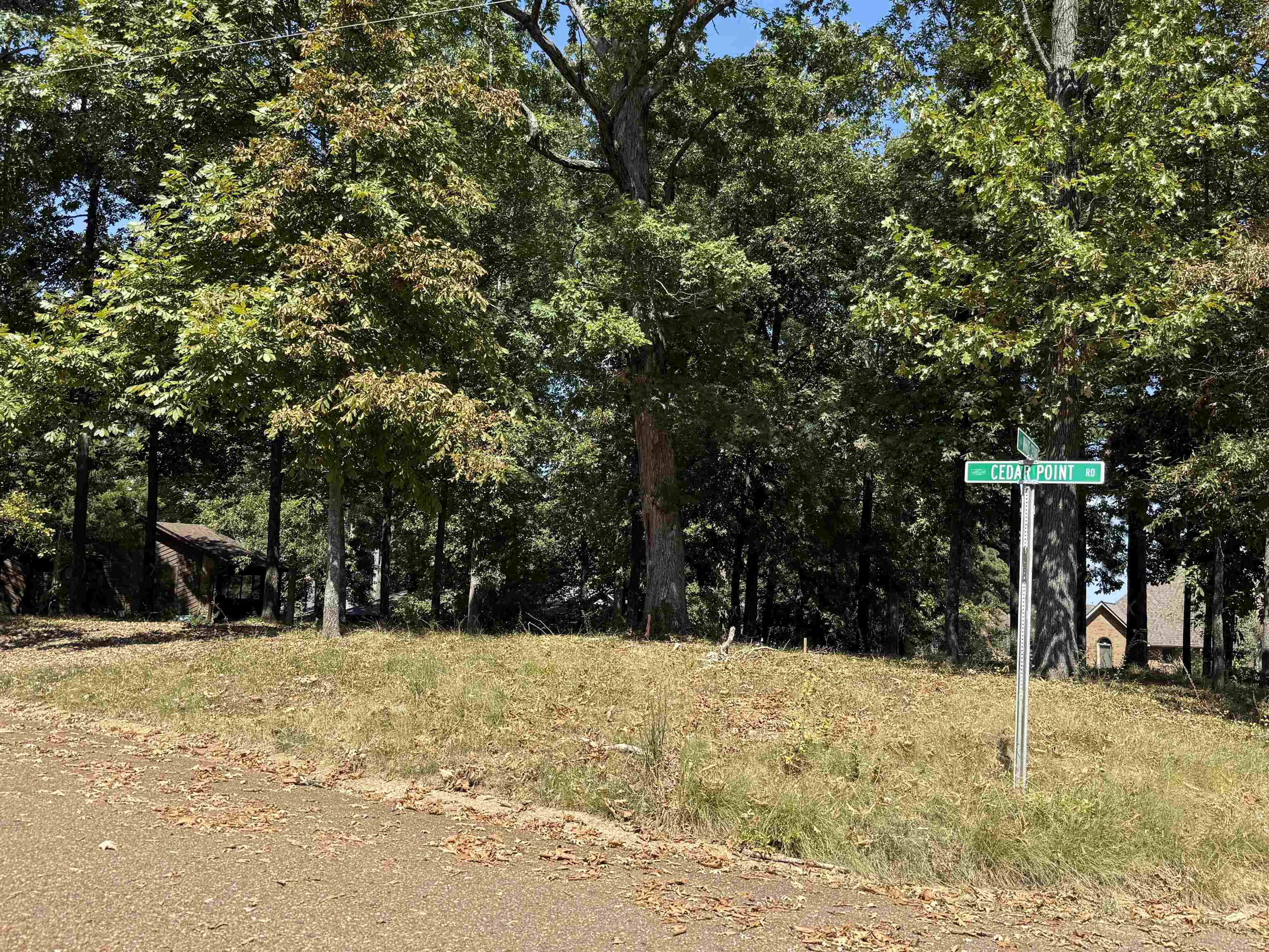 4160 White Cedar Cv Property Photo 7