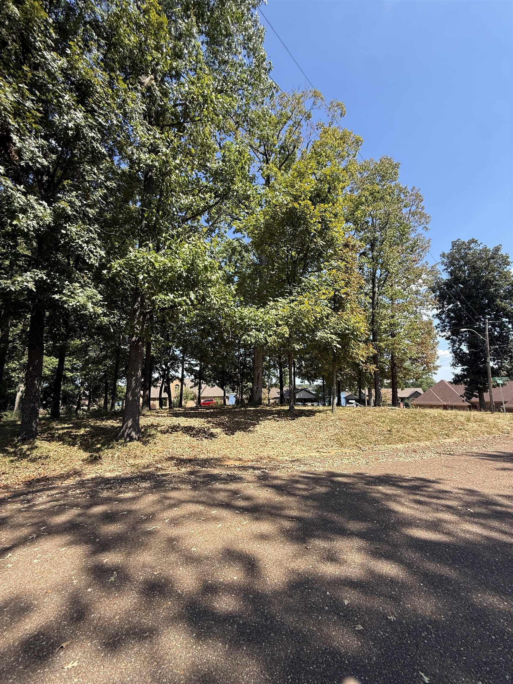 4160 White Cedar Cv Property Photo 8