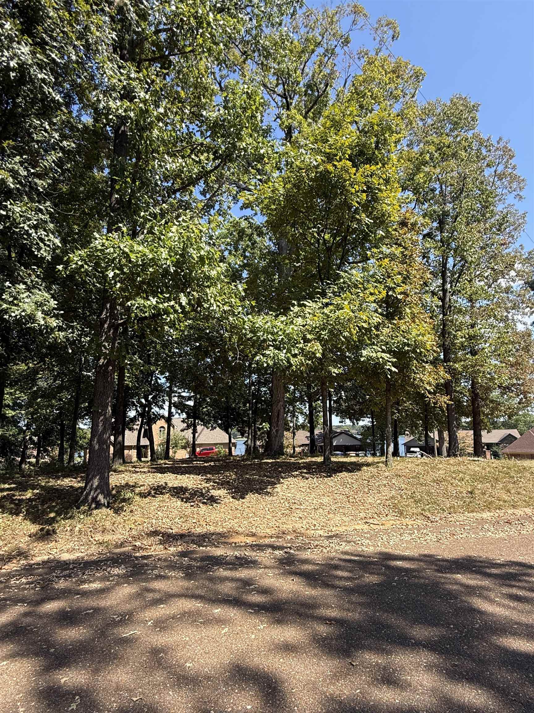 4160 White Cedar Cv Property Photo 9