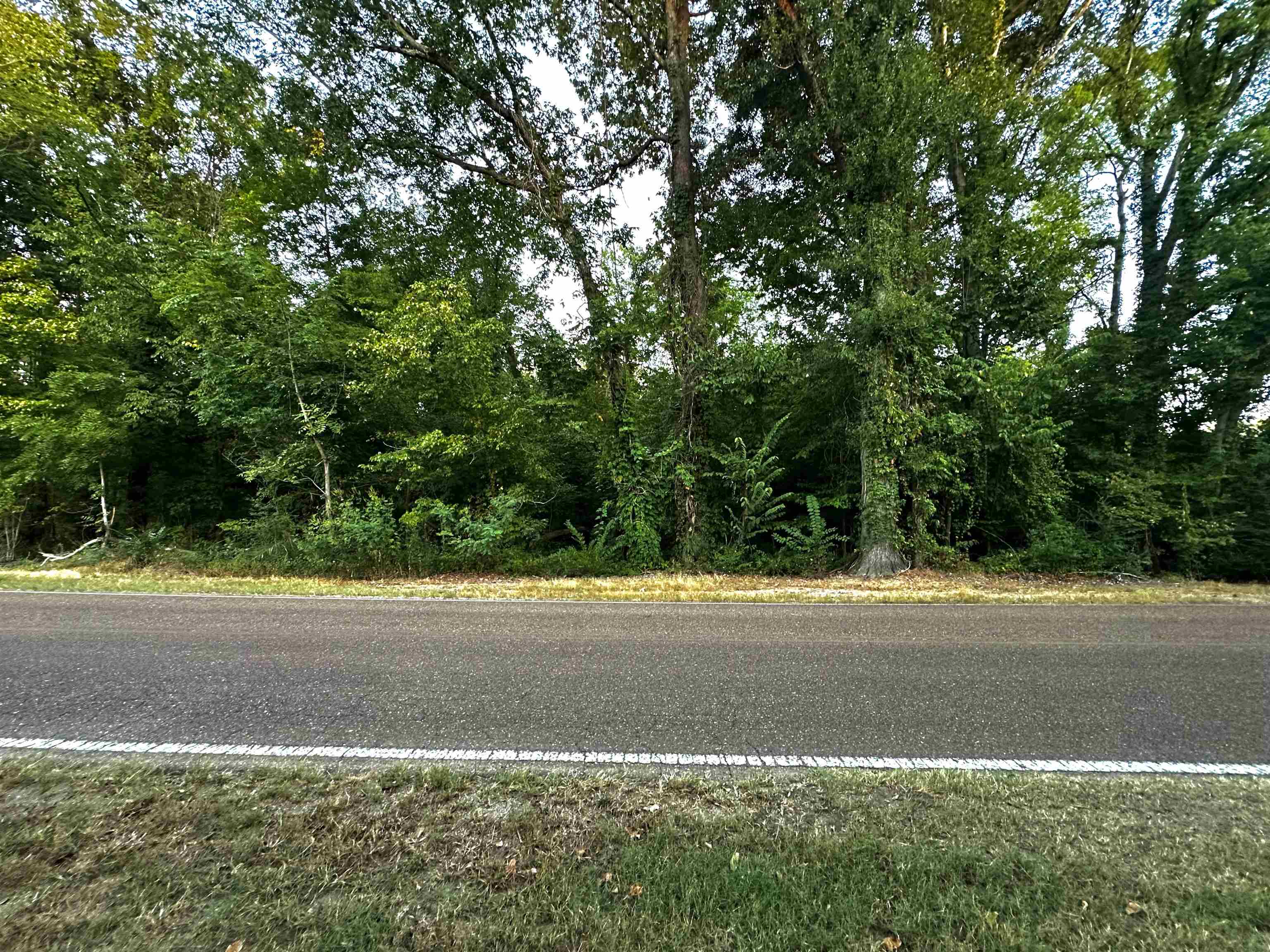 0 Pryor Rd Property Photo 3