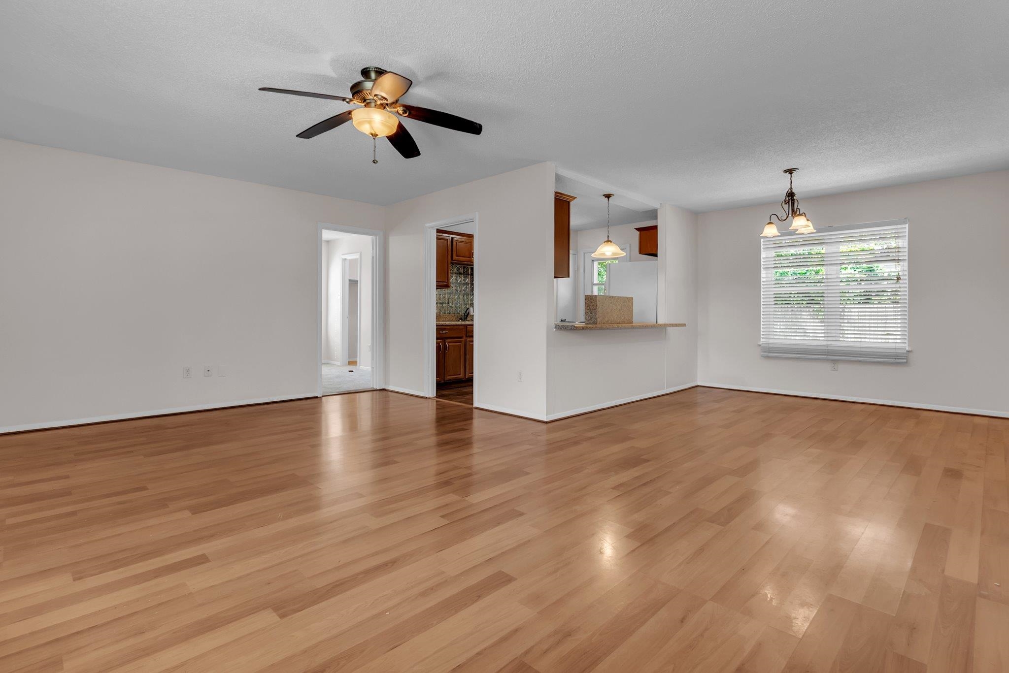 2391 Barbaro Dr Property Photo 7