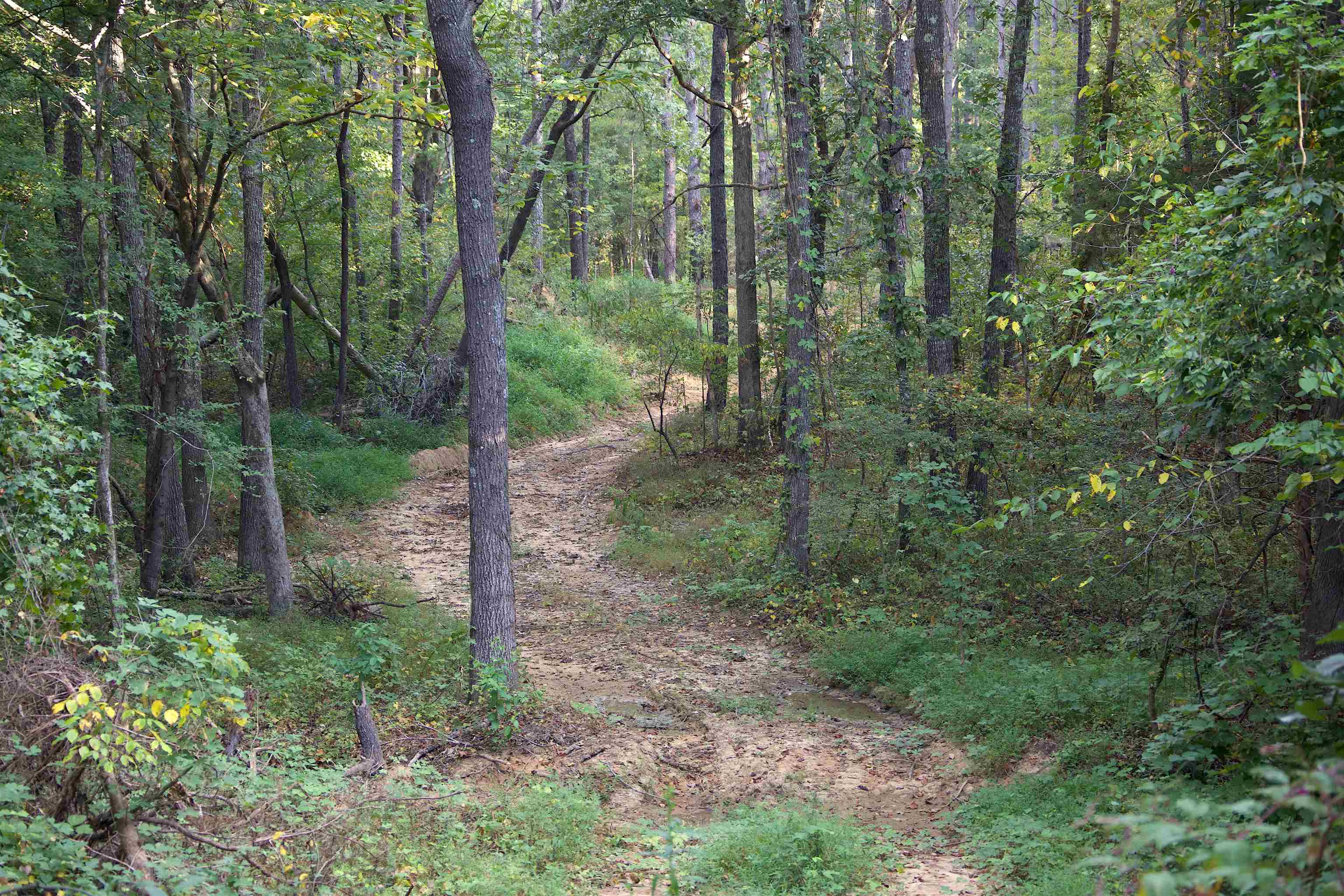 1026 Witherspoon Rd Property Photo 4
