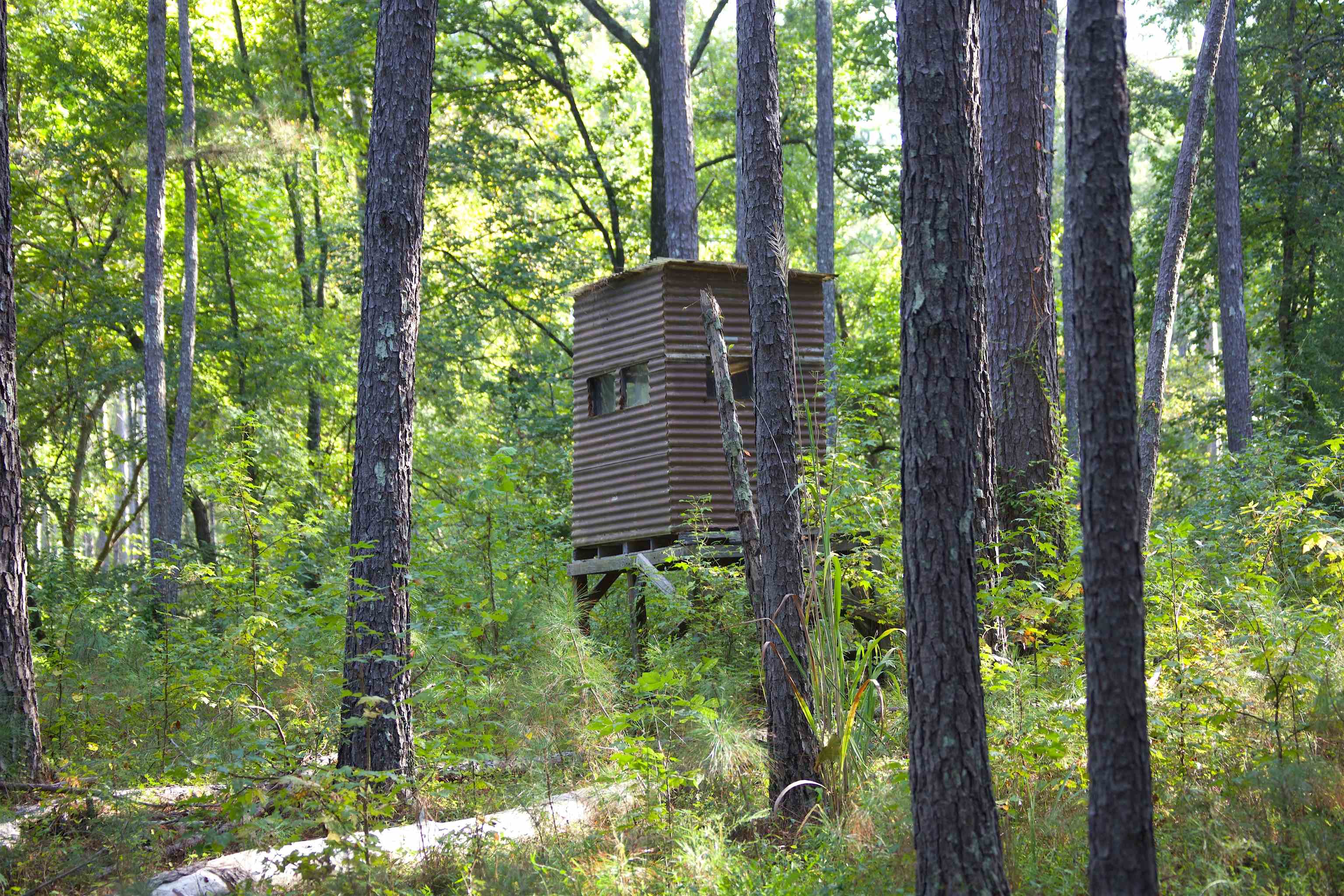 1026 Witherspoon Rd Property Photo 5