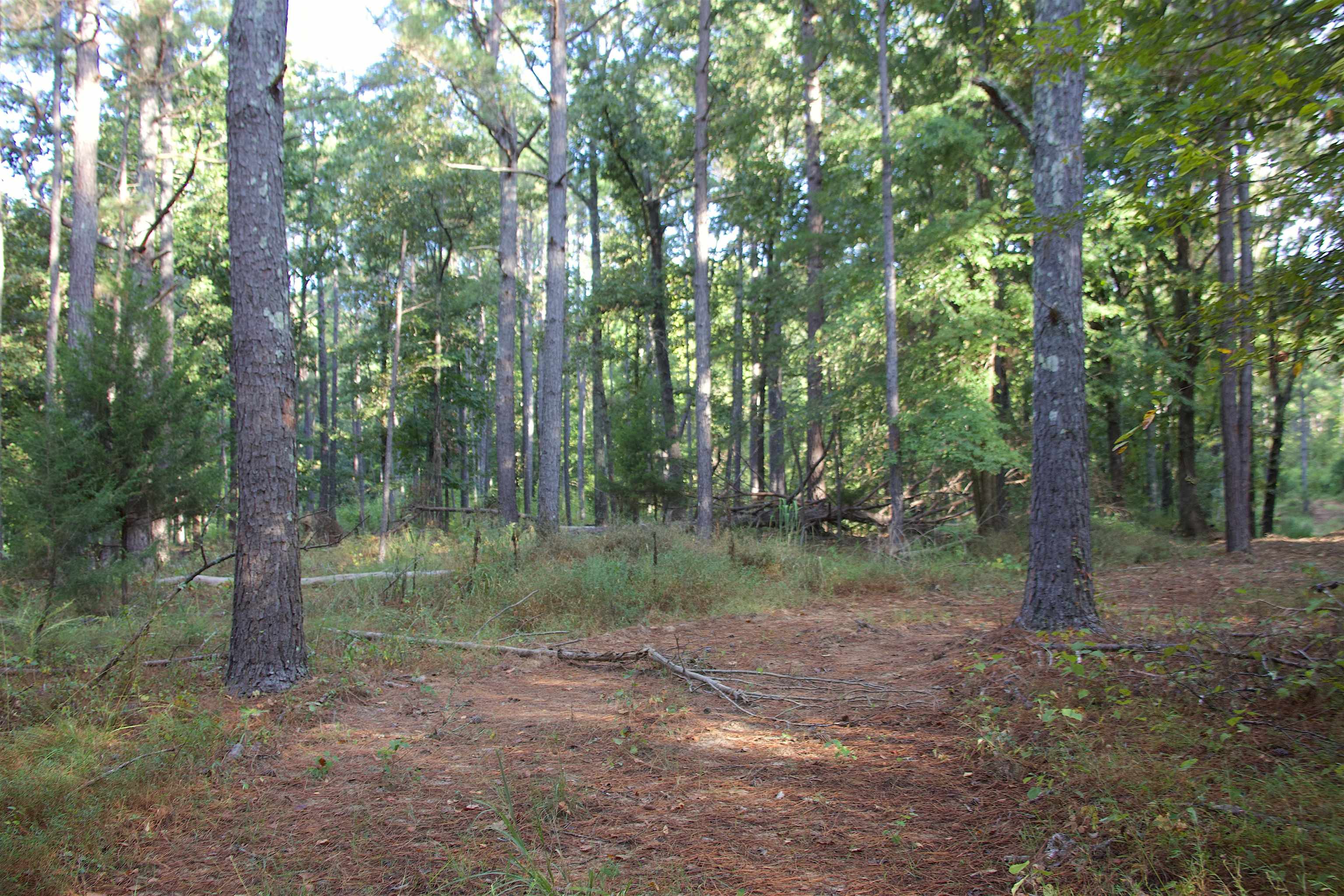1026 Witherspoon Rd Property Photo 17