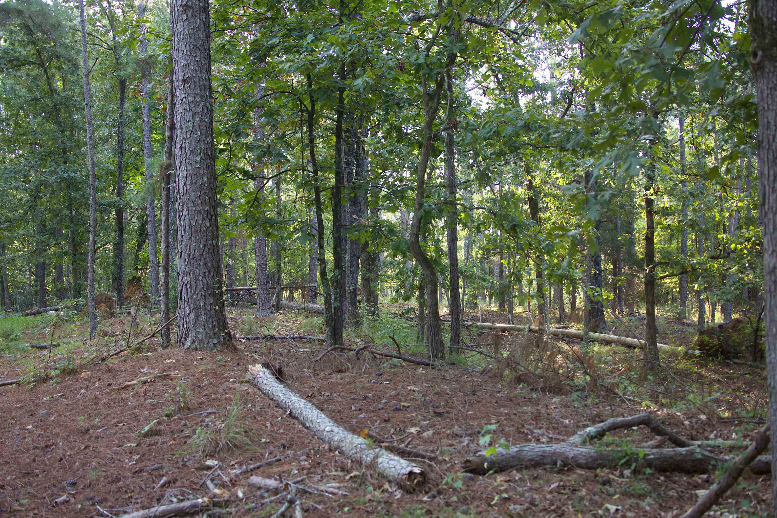 1026 Witherspoon Rd Property Photo 19