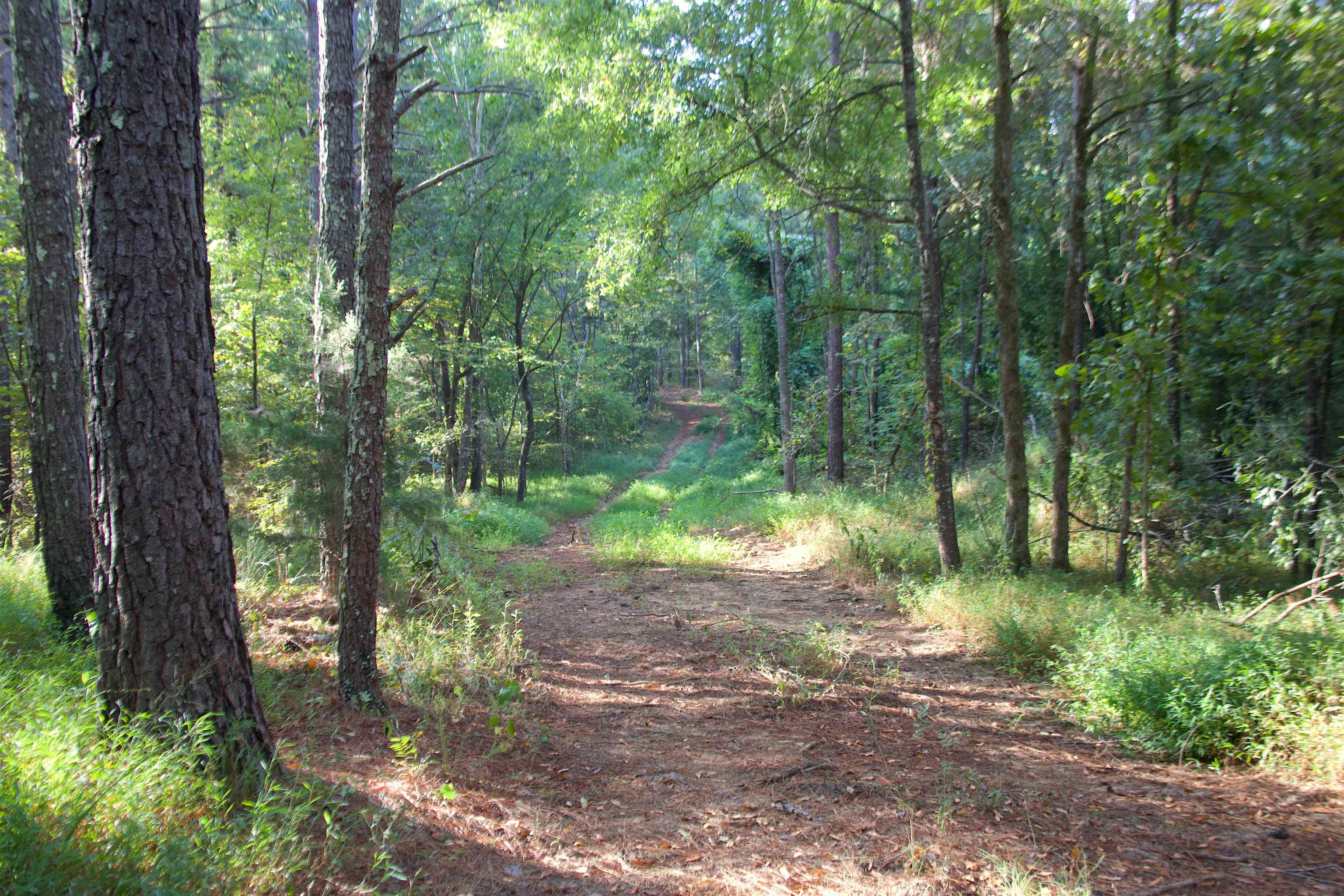 1026 Witherspoon Rd Property Photo 20