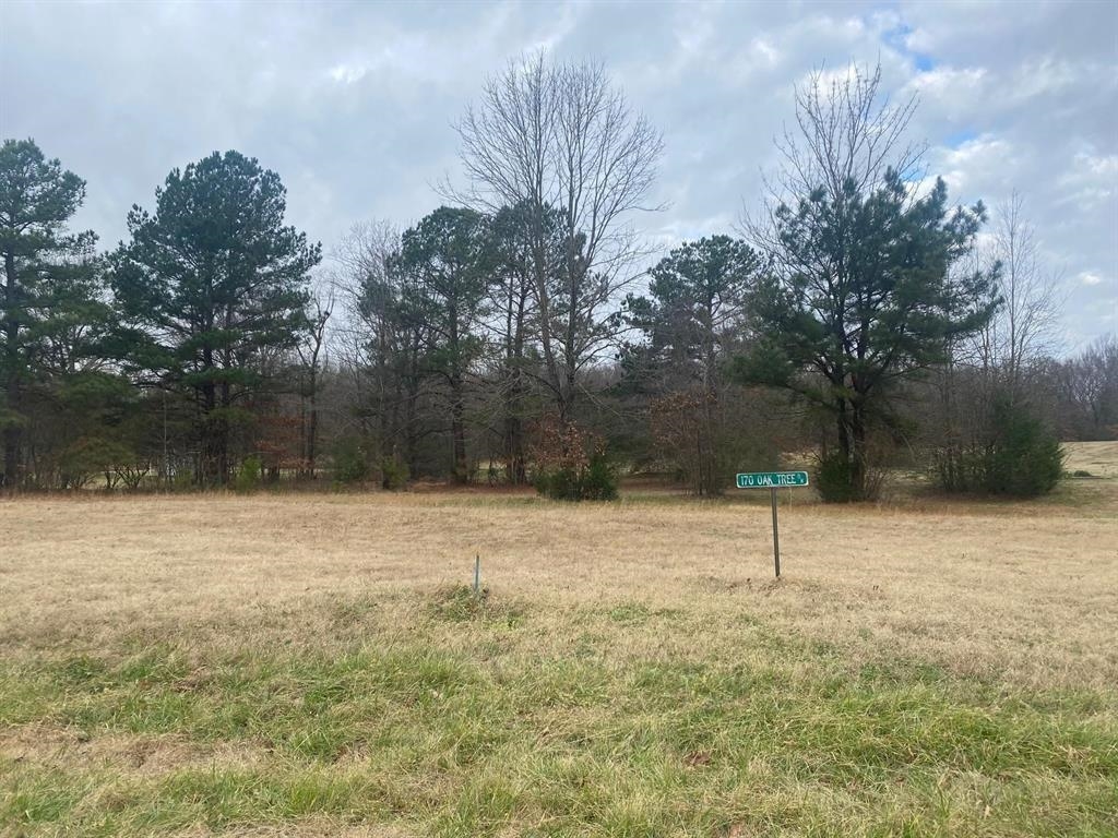 170 OAK TREE DR Property Photo 1