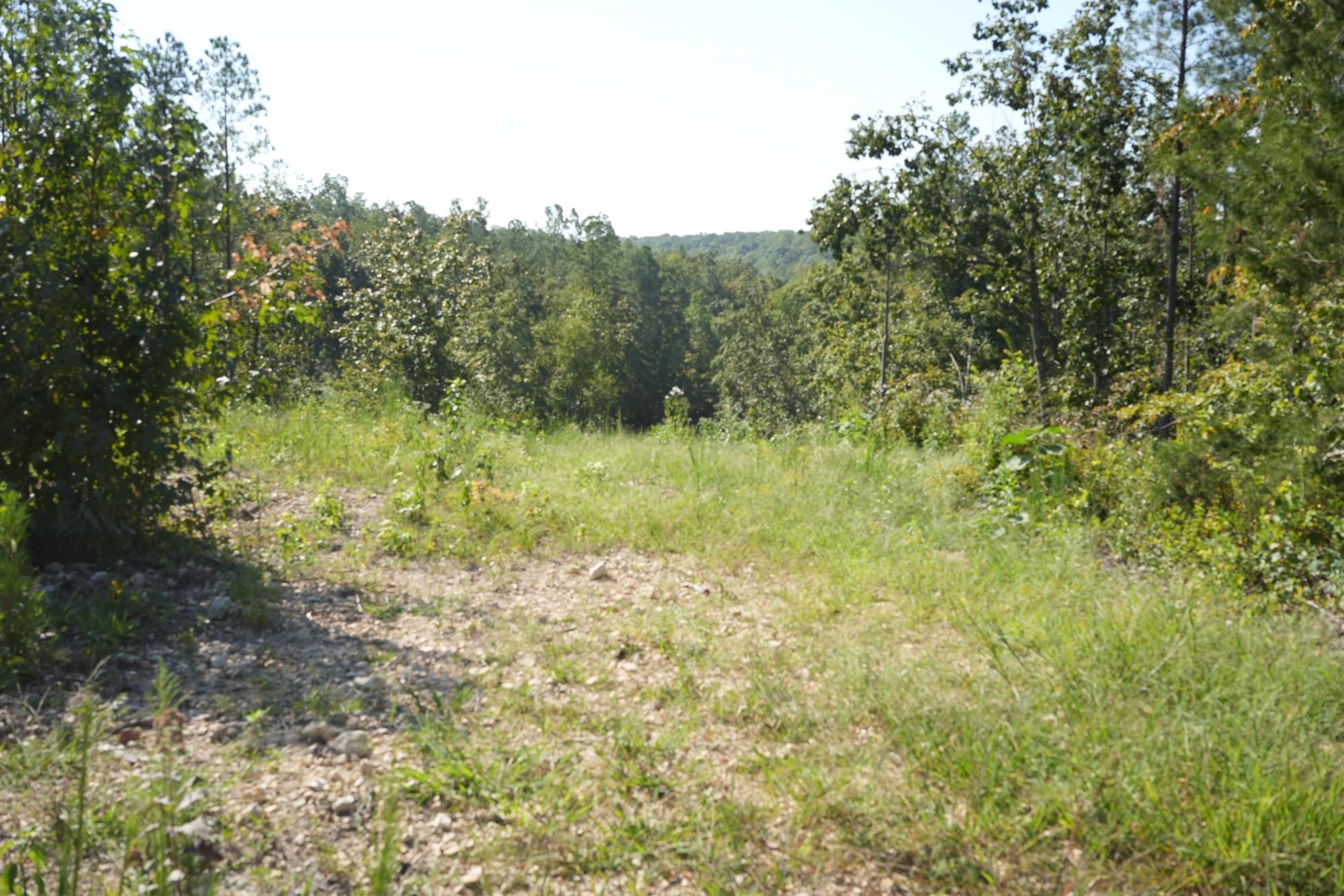 1526 Ray Miller Rd Property Photo 2