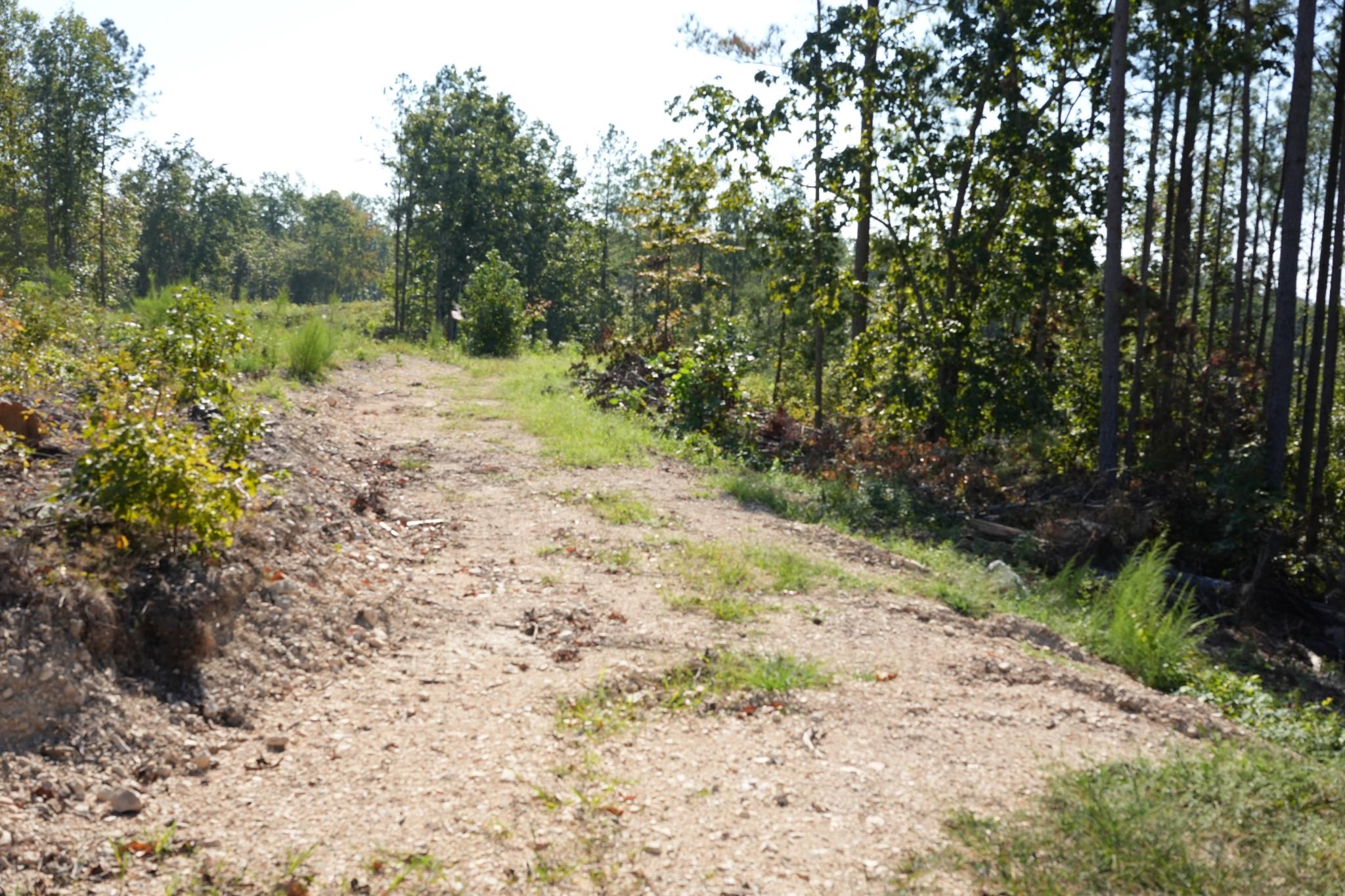 1526 Ray Miller Rd Property Photo 3