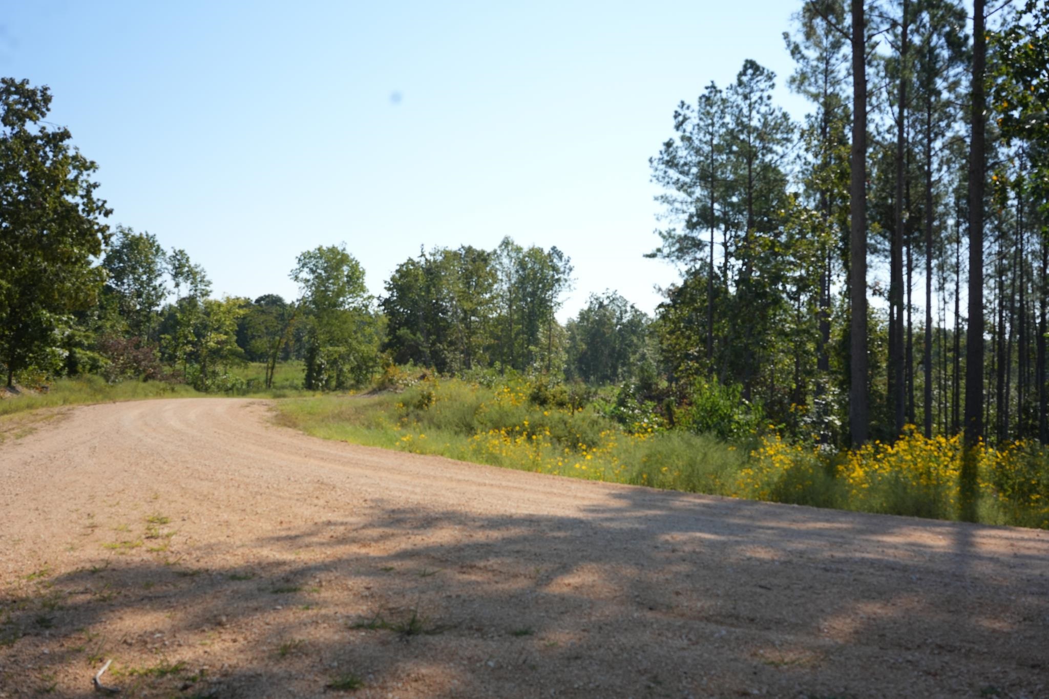 1526 Ray Miller Rd Property Photo 4