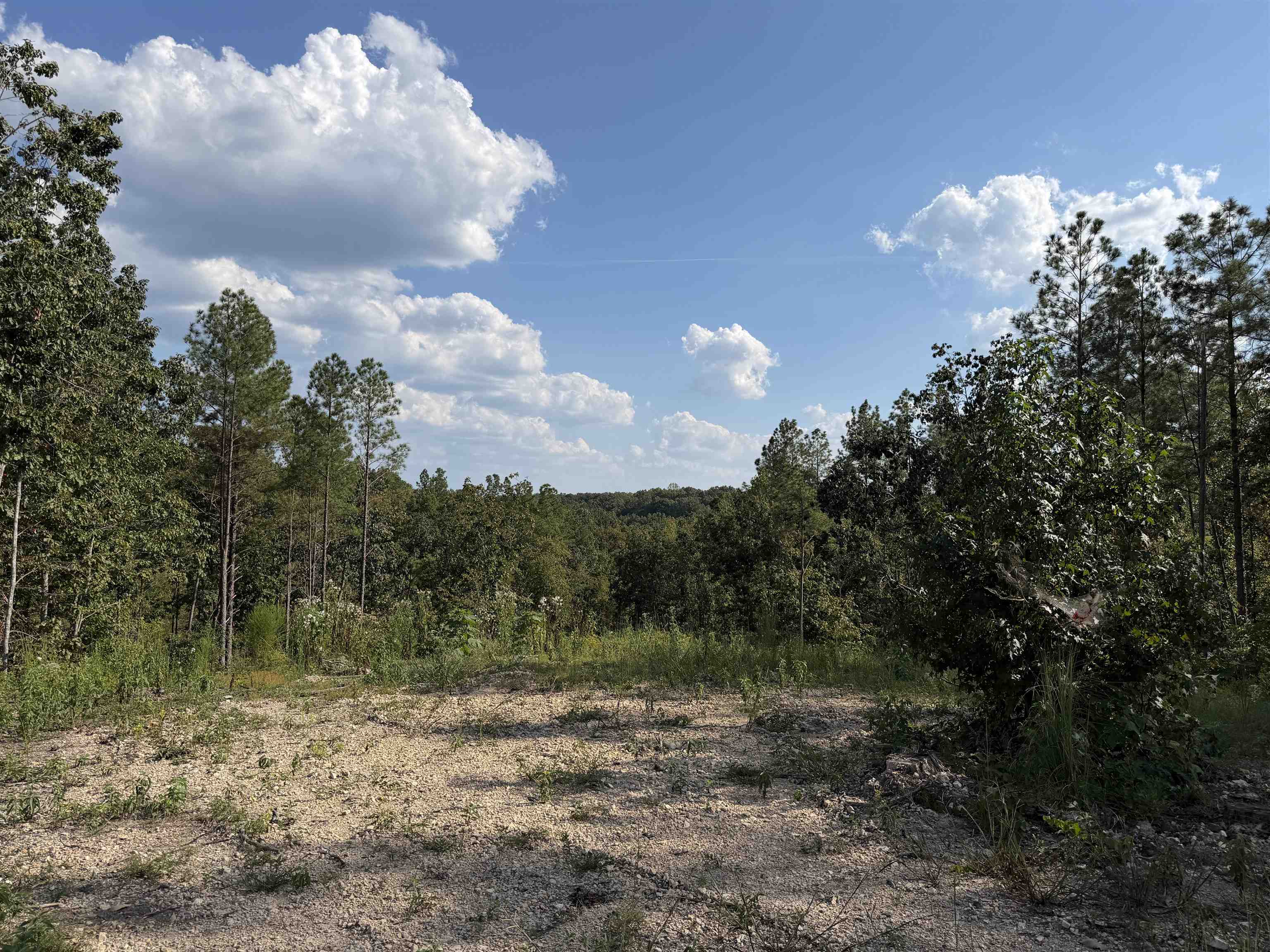 1526 Ray Miller Rd Property Photo 6