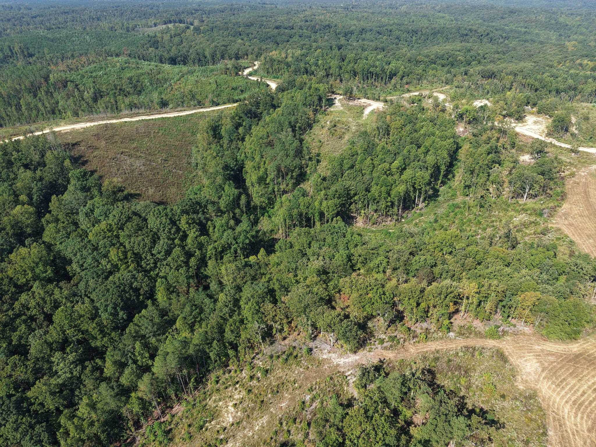 1526 Ray Miller Rd Property Photo 7