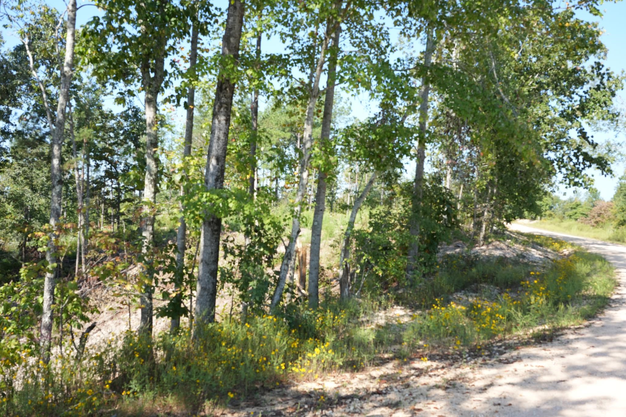 1526 Ray Miller Rd Property Photo 8