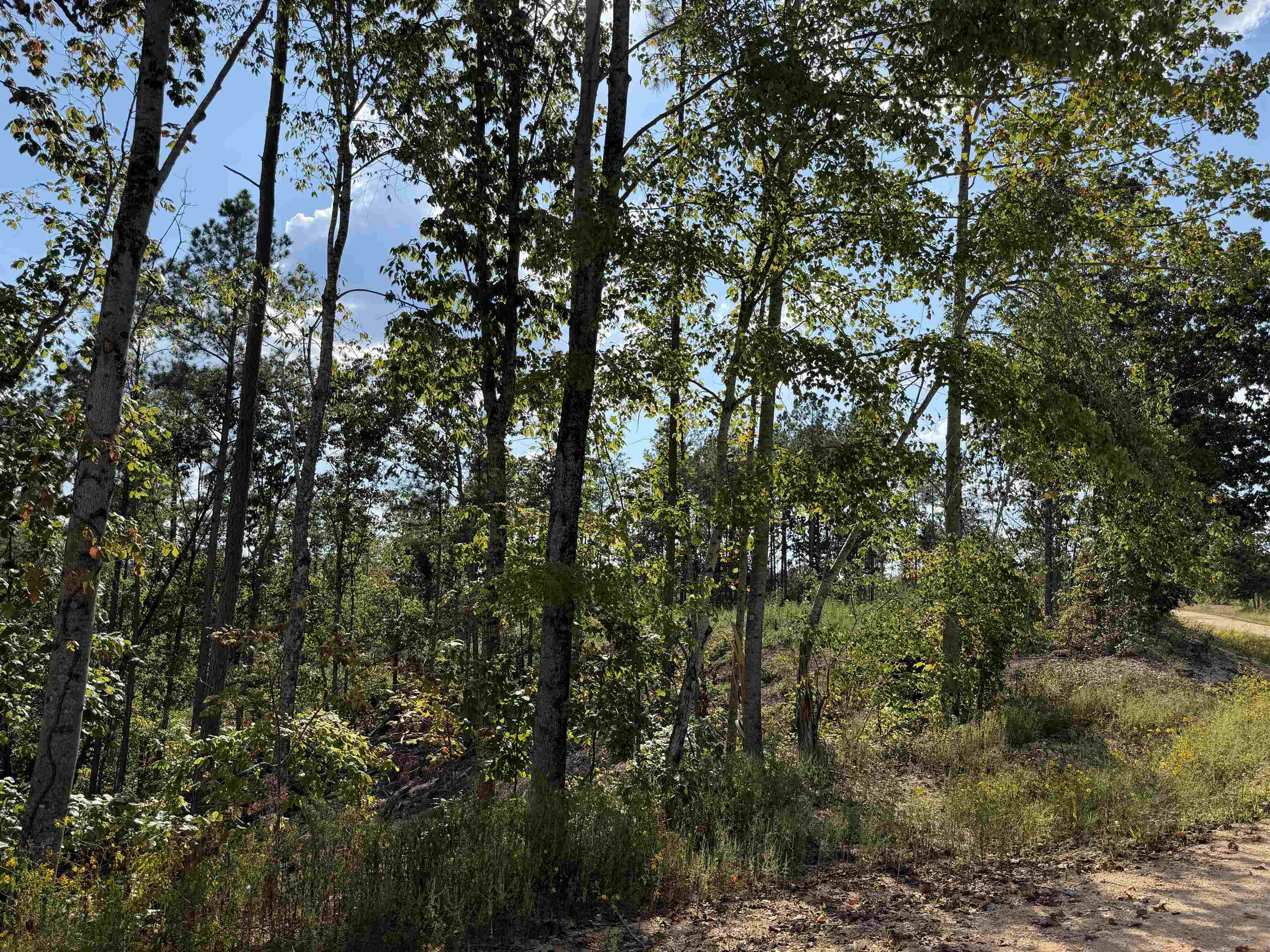 1526 Ray Miller Rd Property Photo 9