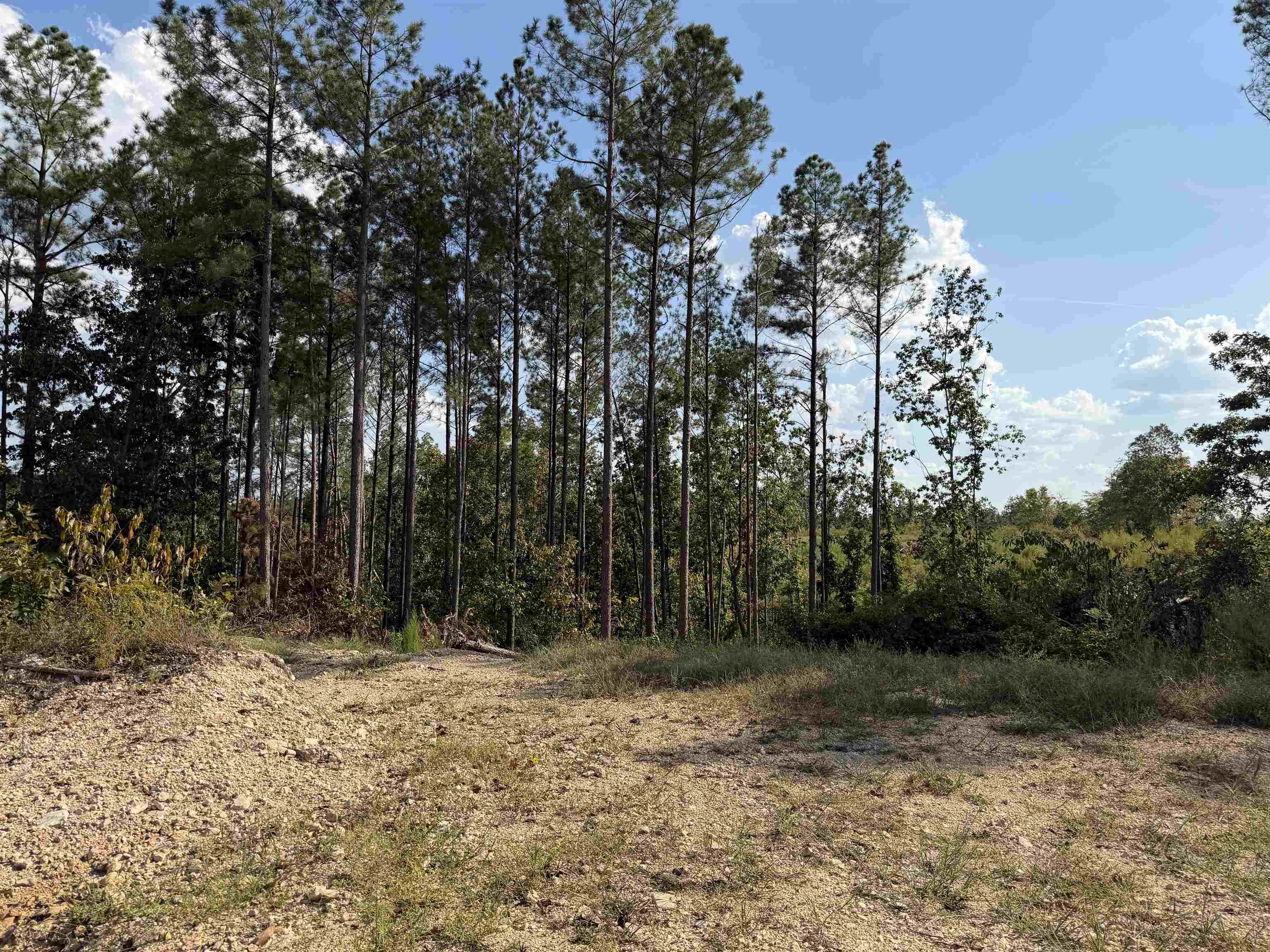 1526 Ray Miller Rd Property Photo 10