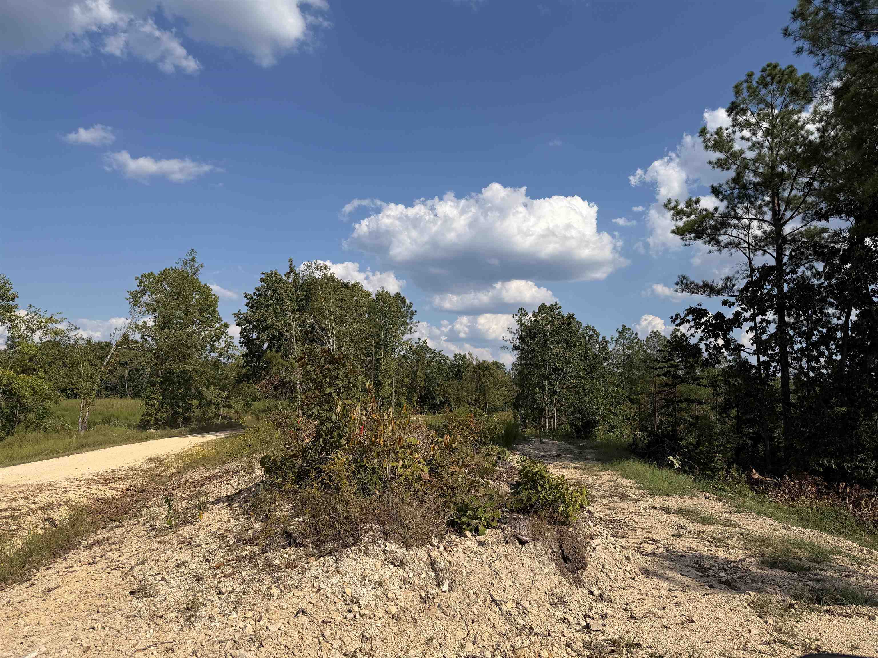 1526 Ray Miller Rd Property Photo 11