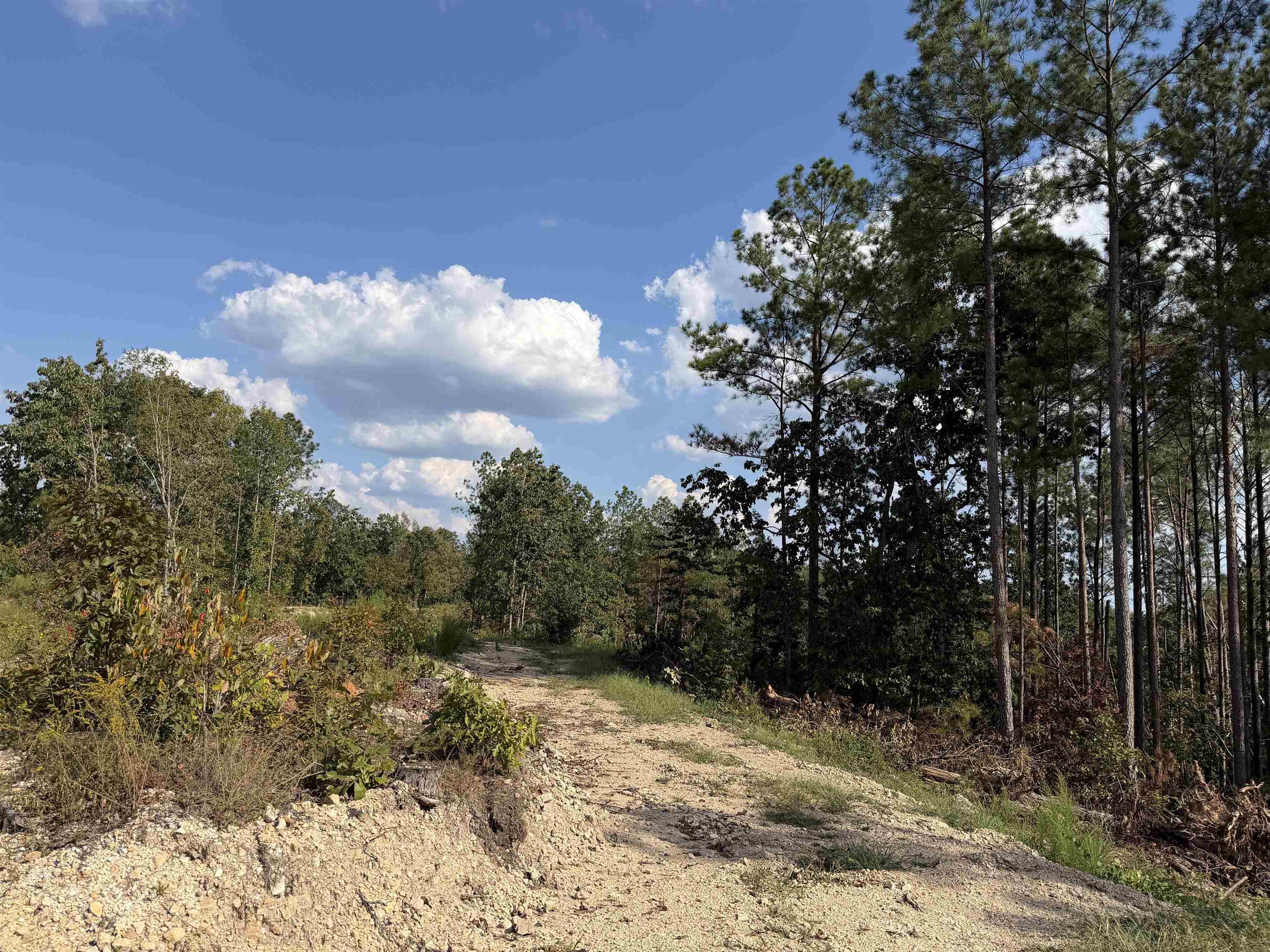 1526 Ray Miller Rd Property Photo 12