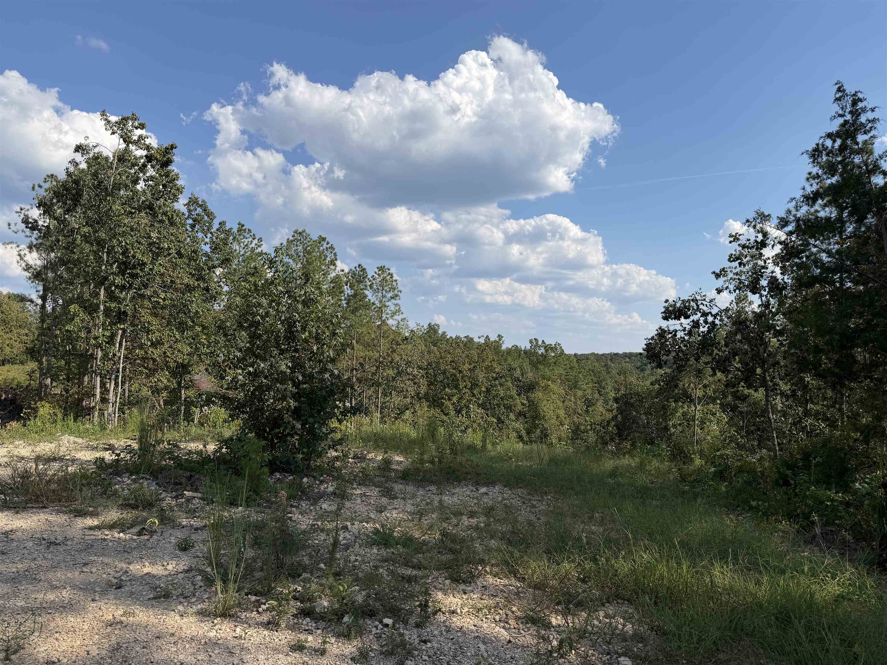 1526 Ray Miller Rd Property Photo 13