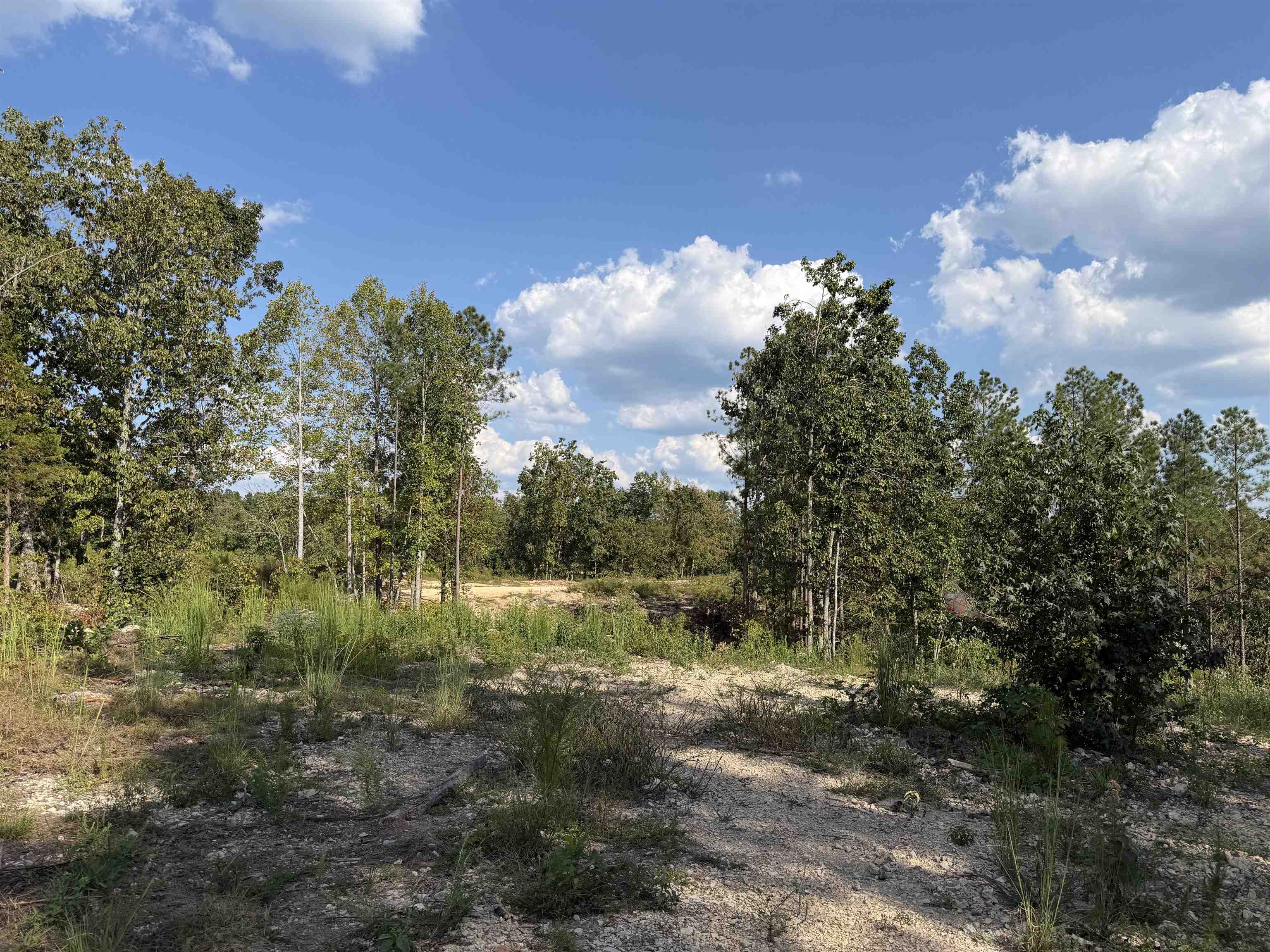 1526 Ray Miller Rd Property Photo 14