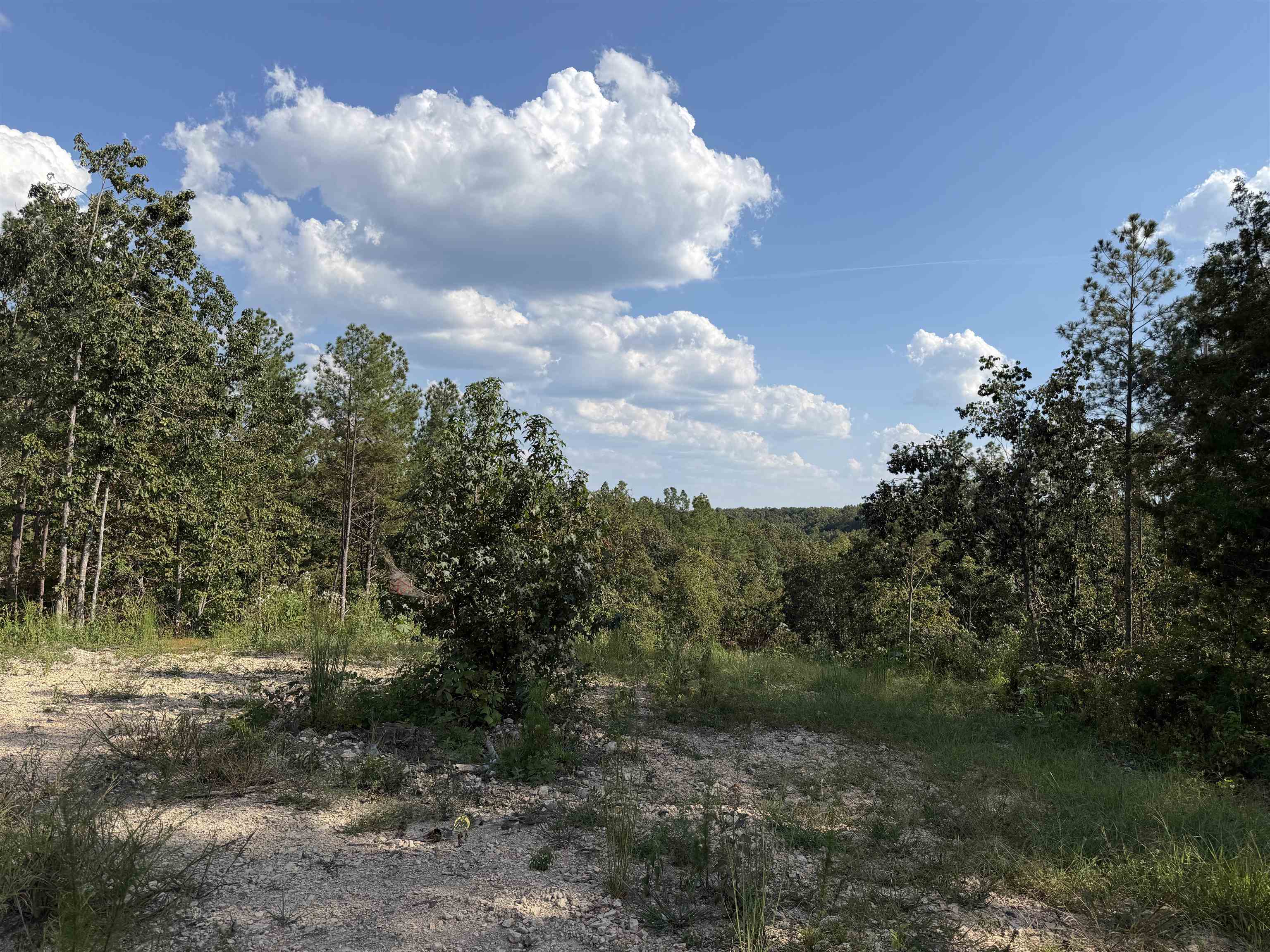 1526 Ray Miller Rd Property Photo 15