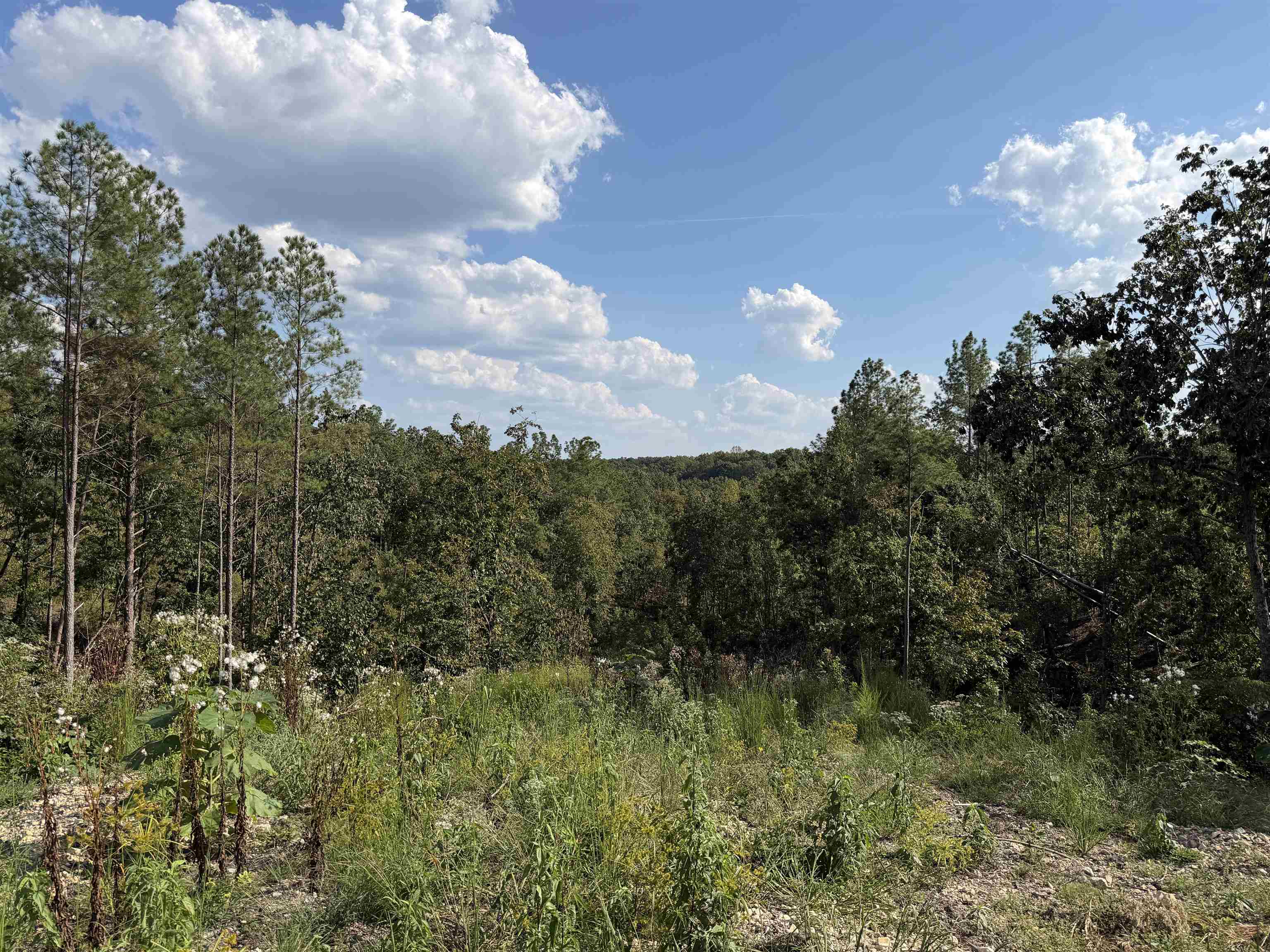 1526 Ray Miller Rd Property Photo 16
