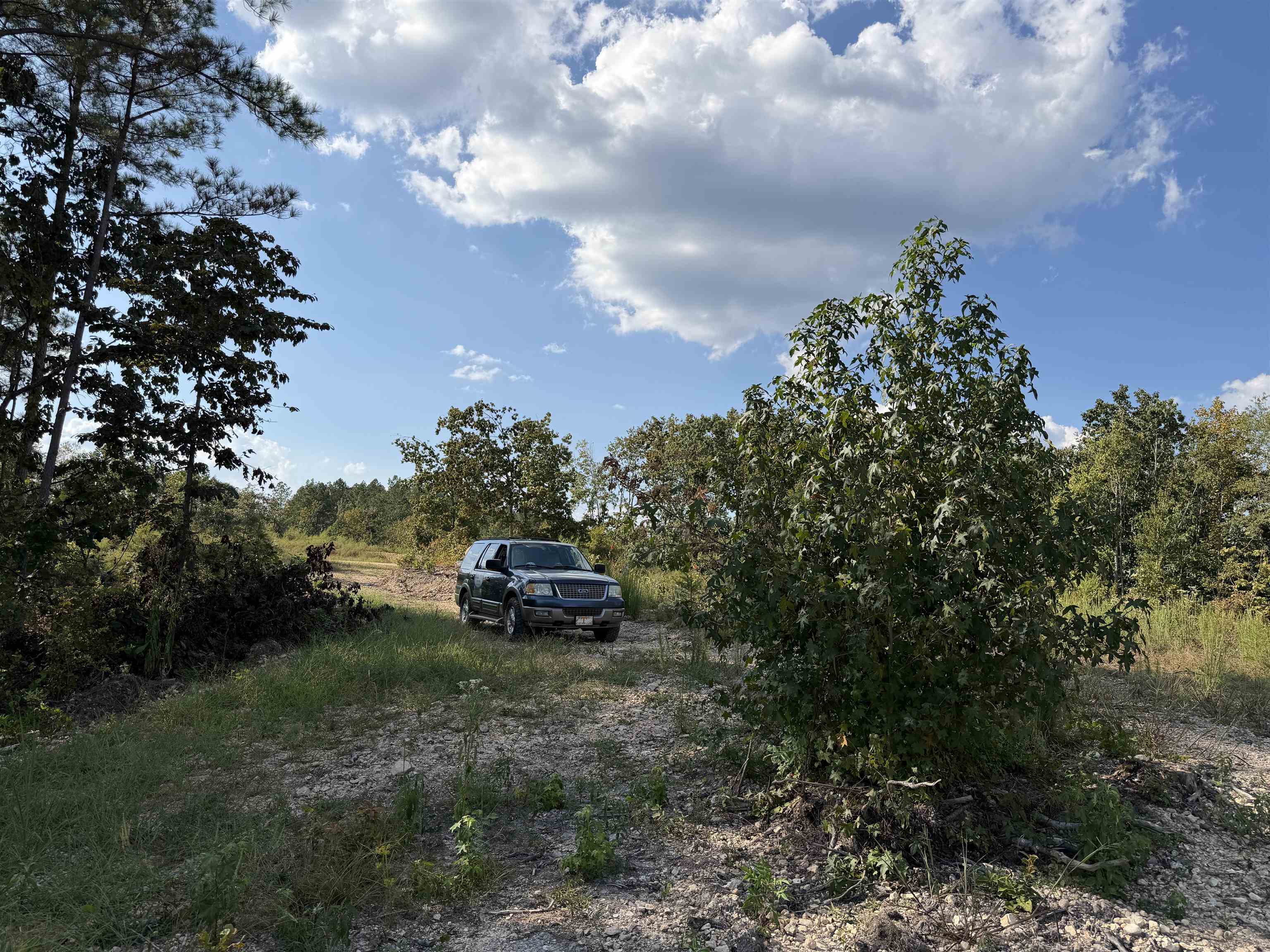 1526 Ray Miller Rd Property Photo 17