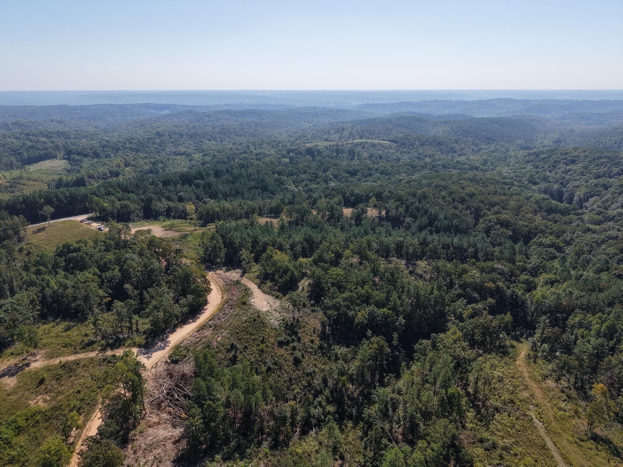 1526 Ray Miller Rd Property Photo 18