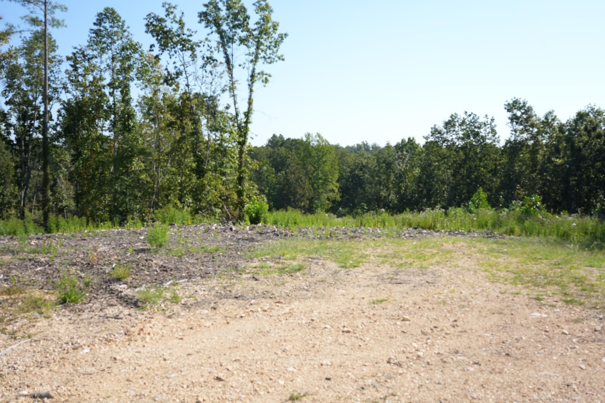 2026 Low Gap Rd Property Photo 3