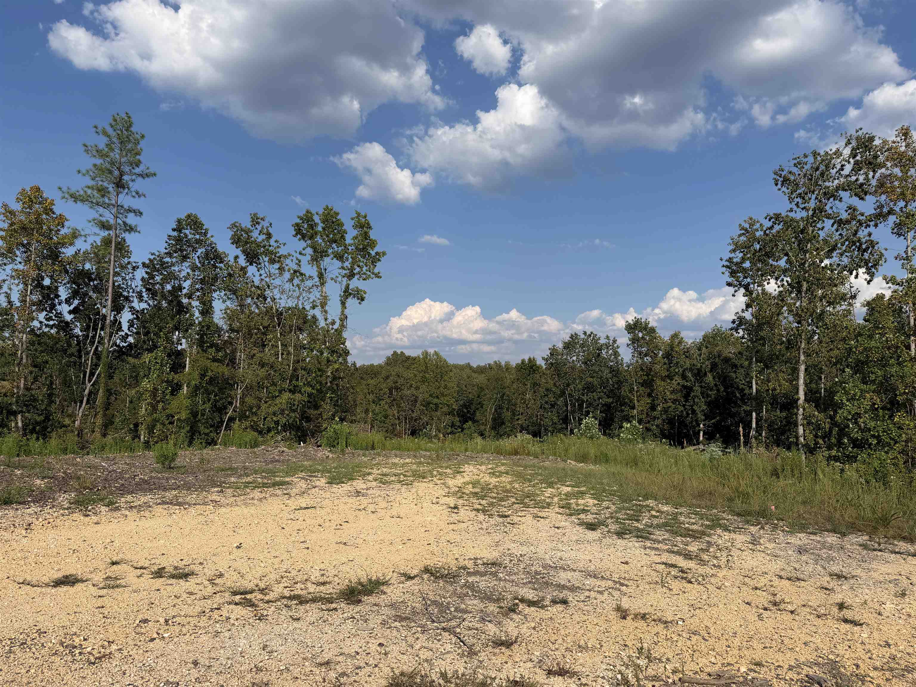 2026 Low Gap Rd Property Photo 4