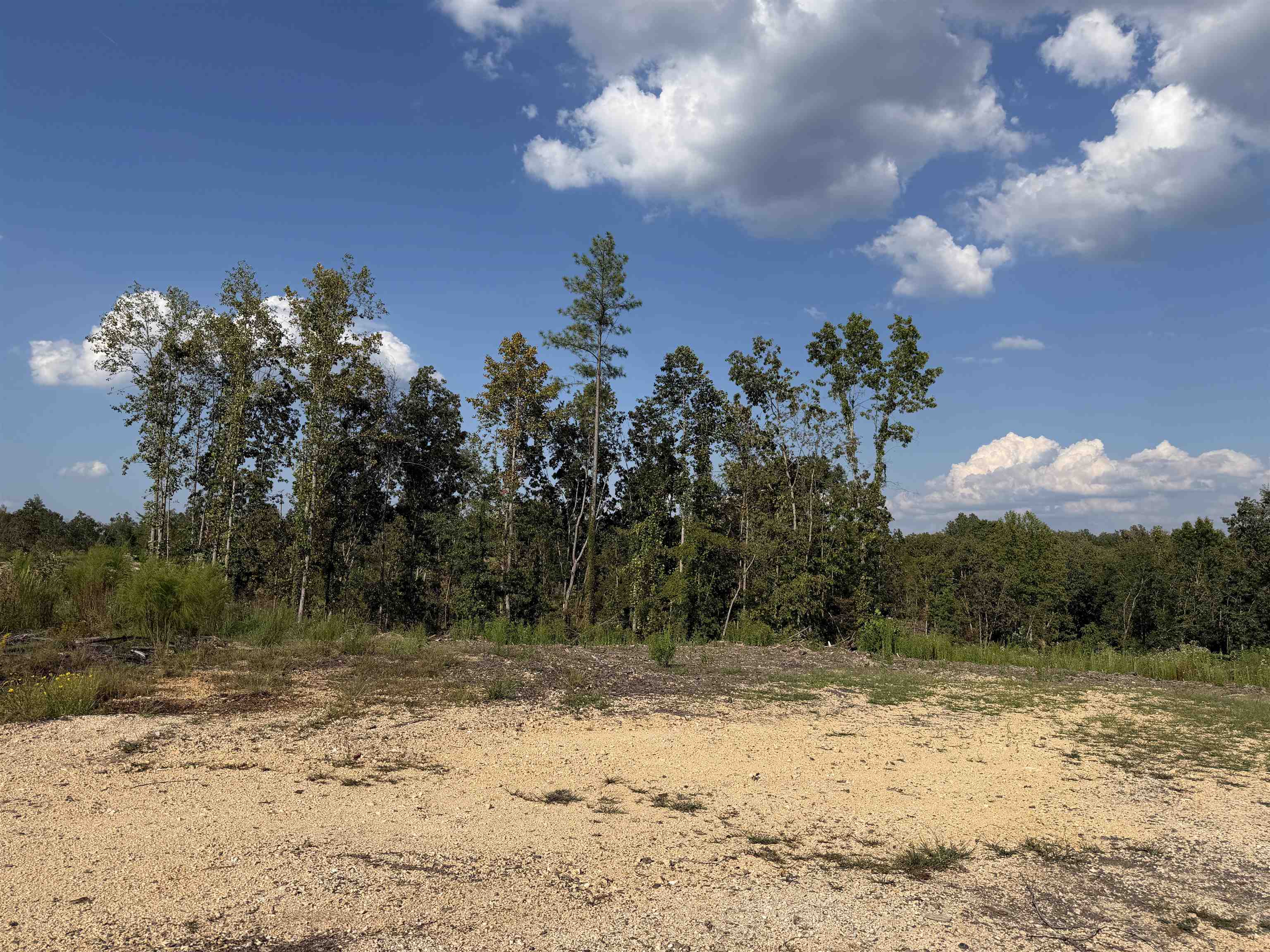 2026 Low Gap Rd Property Photo 5