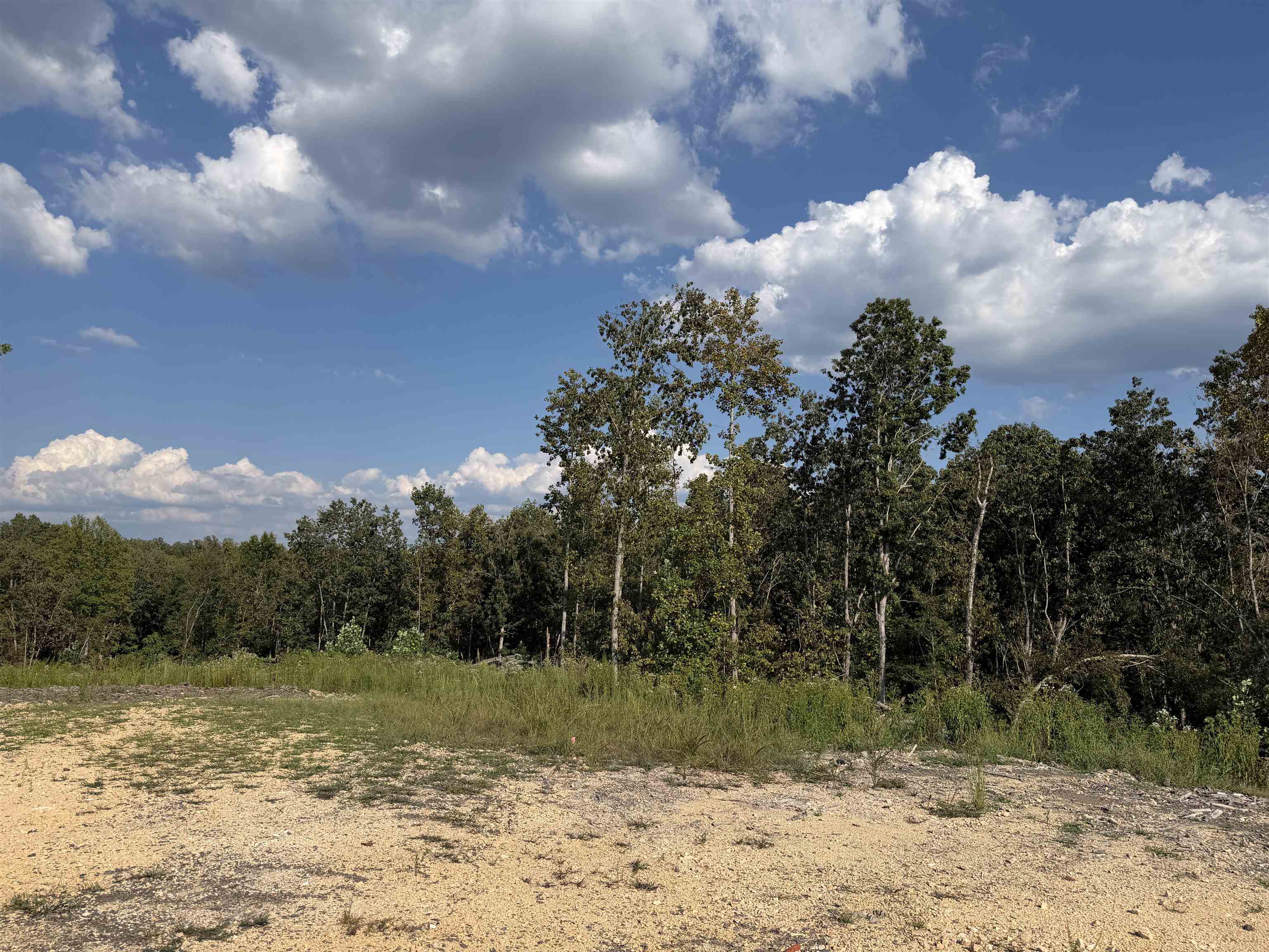 2026 Low Gap Rd Property Photo 6