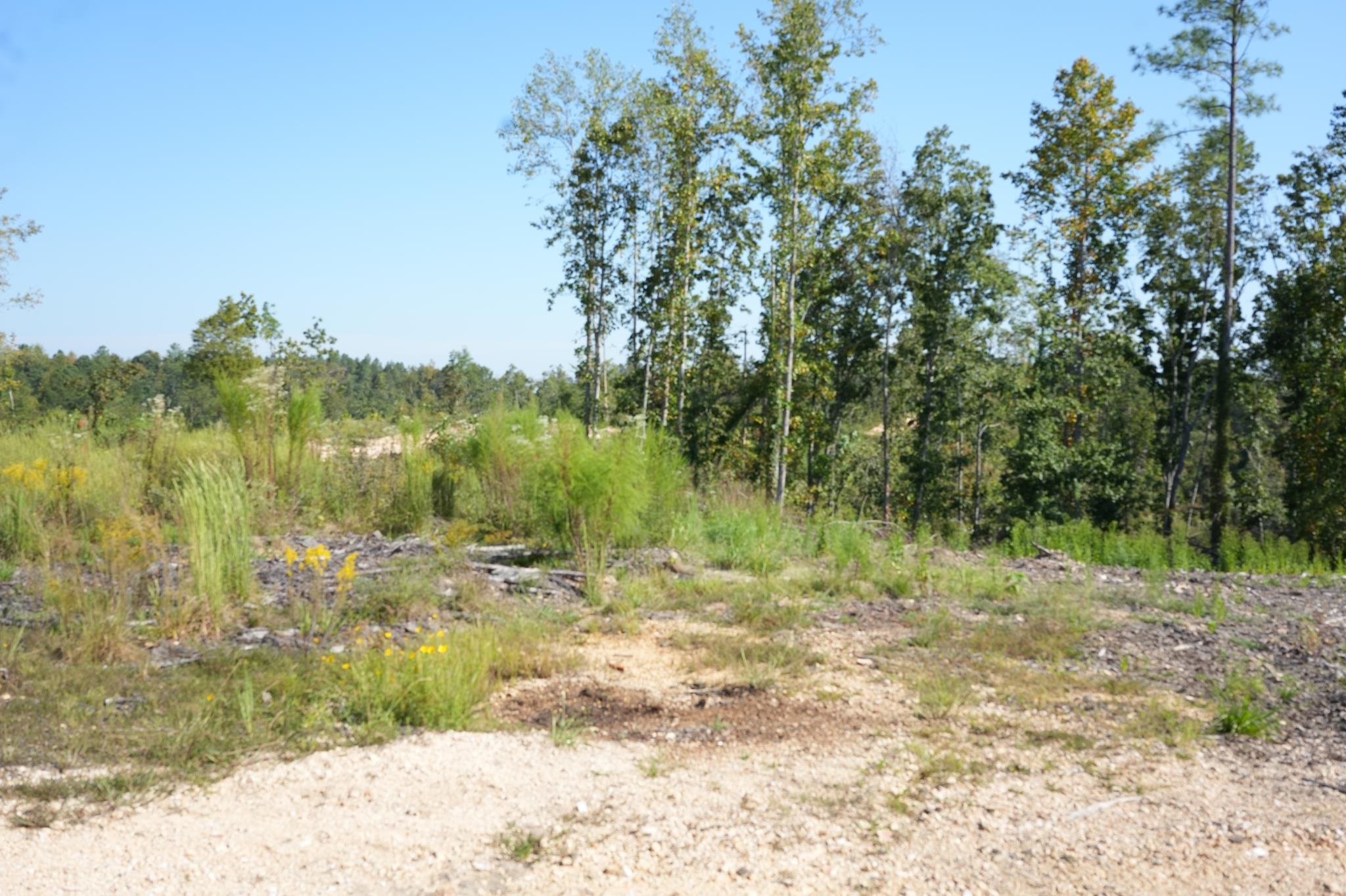 2026 Low Gap Rd Property Photo 9