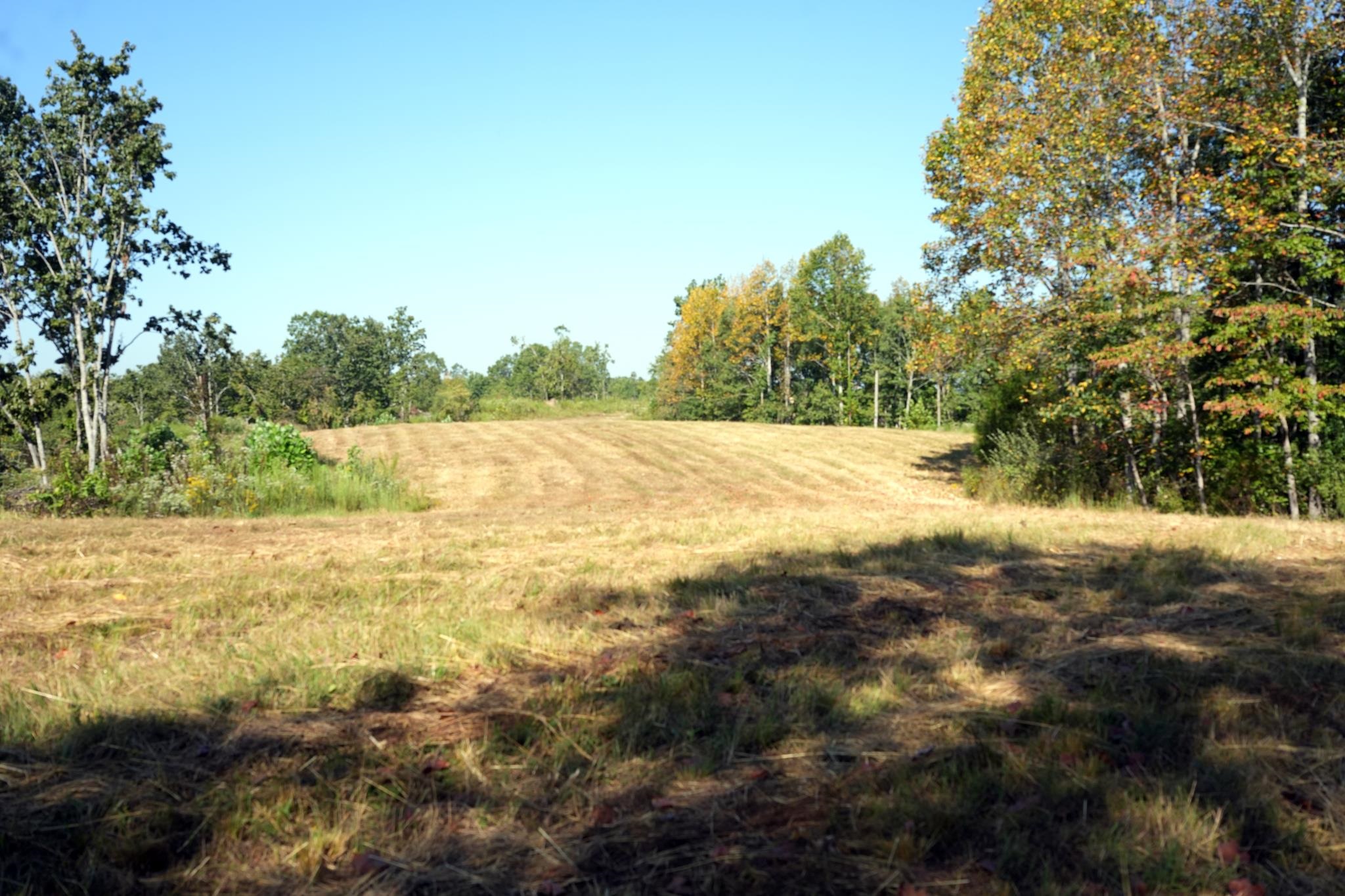 1960 Low Gap Rd Property Photo 5