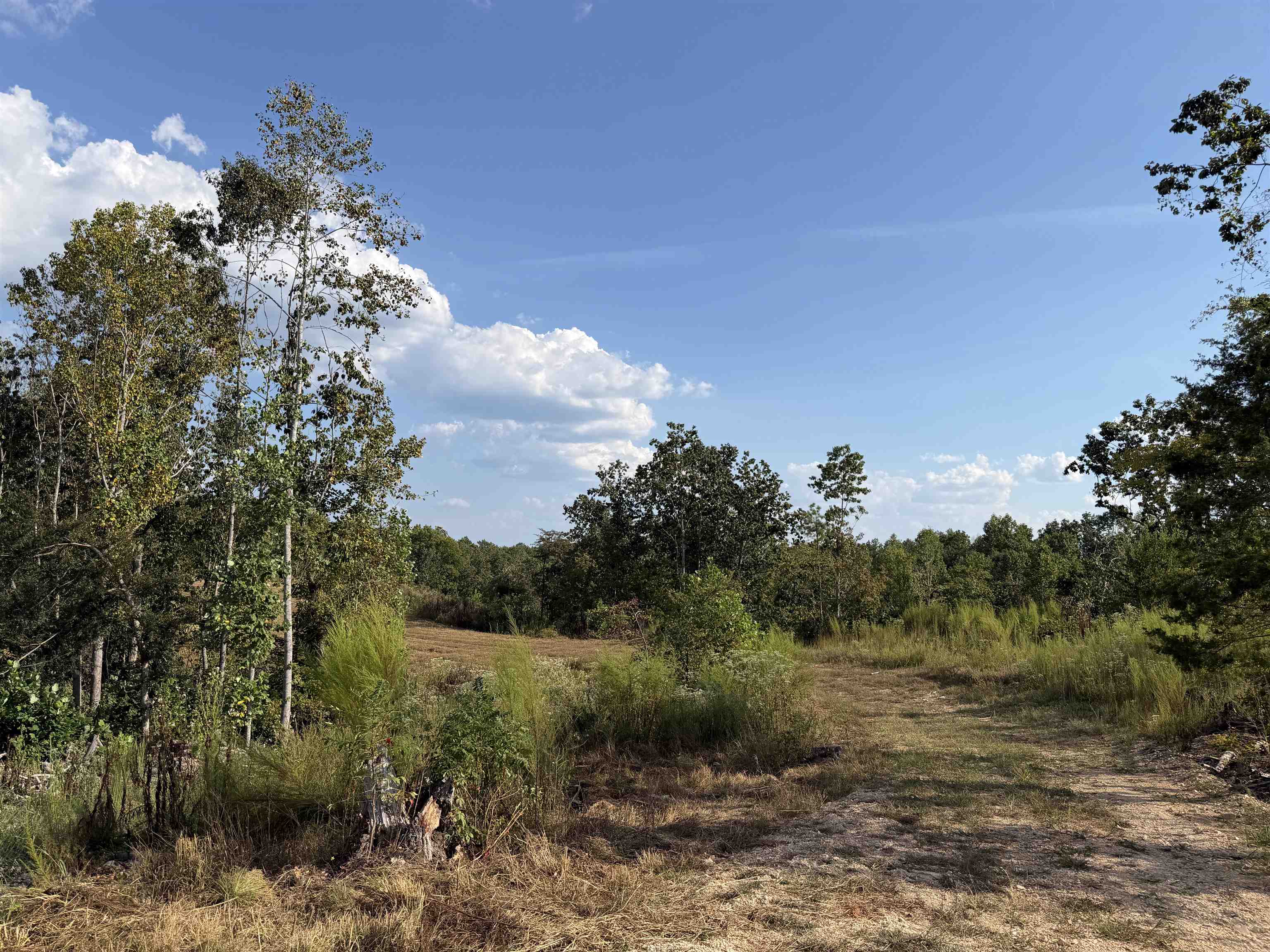1960 Low Gap Rd Property Photo 6