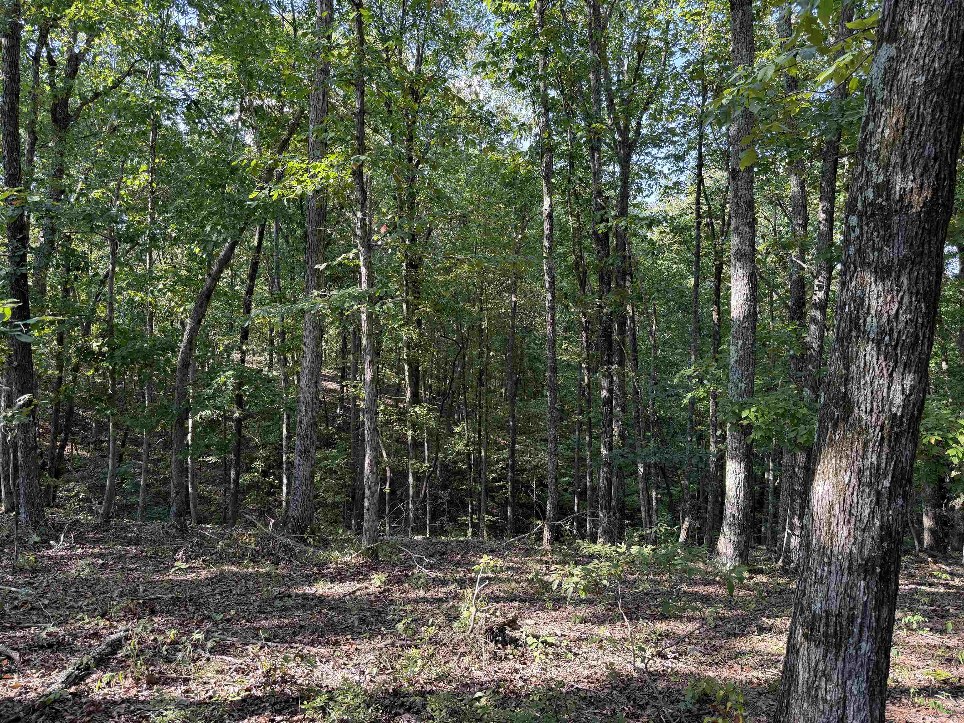 1960 Low Gap Rd Property Photo 16