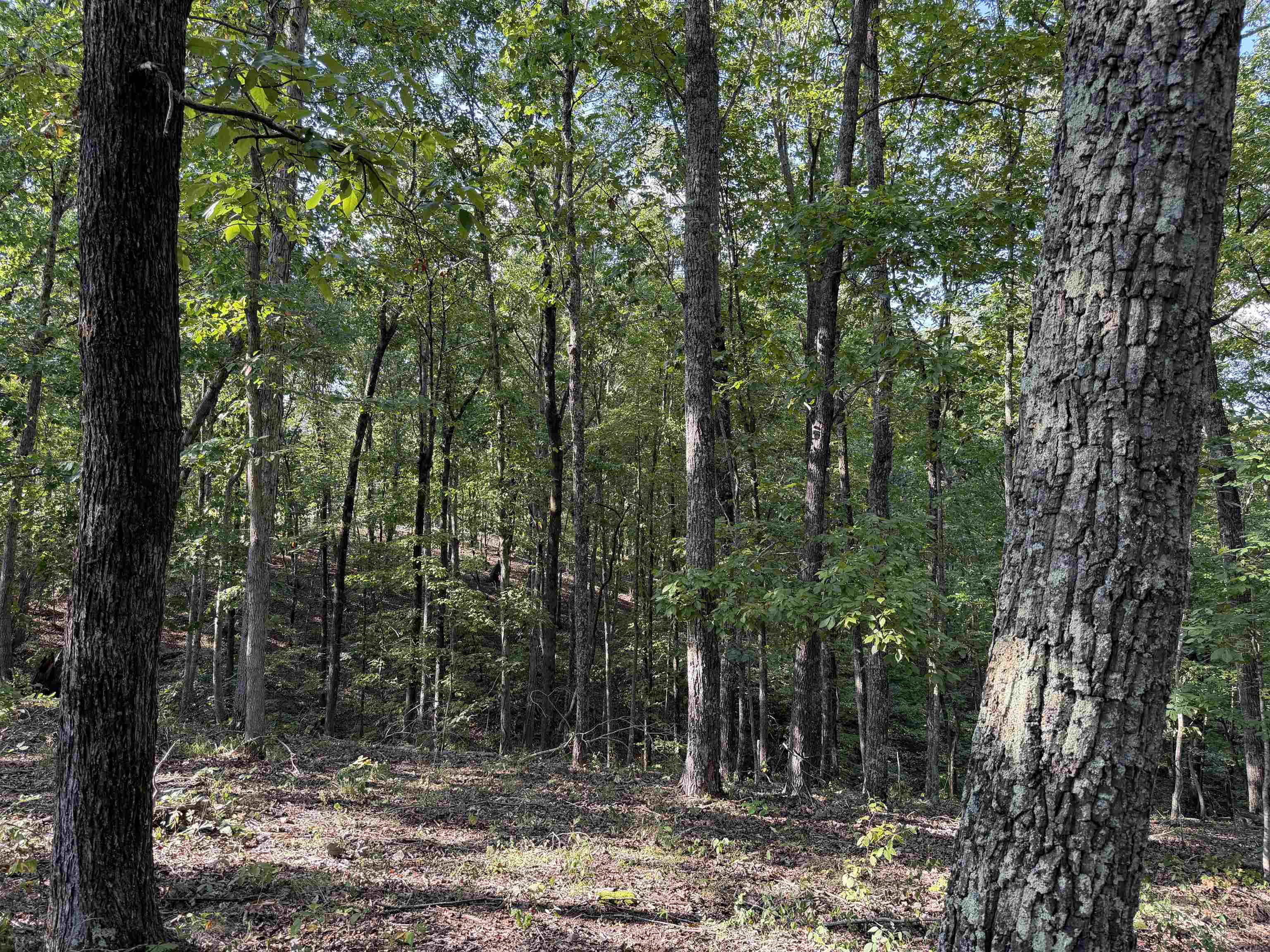 1960 Low Gap Rd Property Photo 18