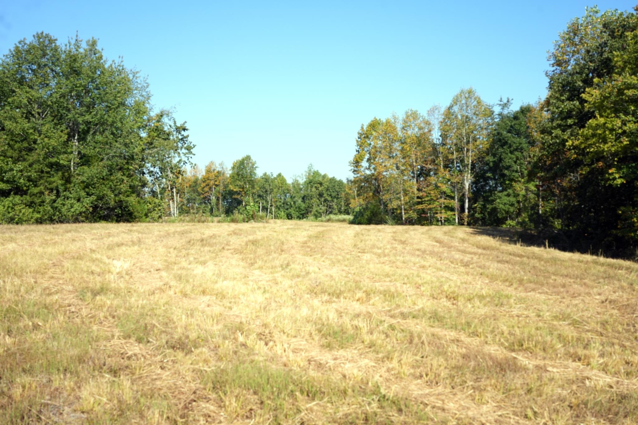 1960 Low Gap Rd Property Photo 21
