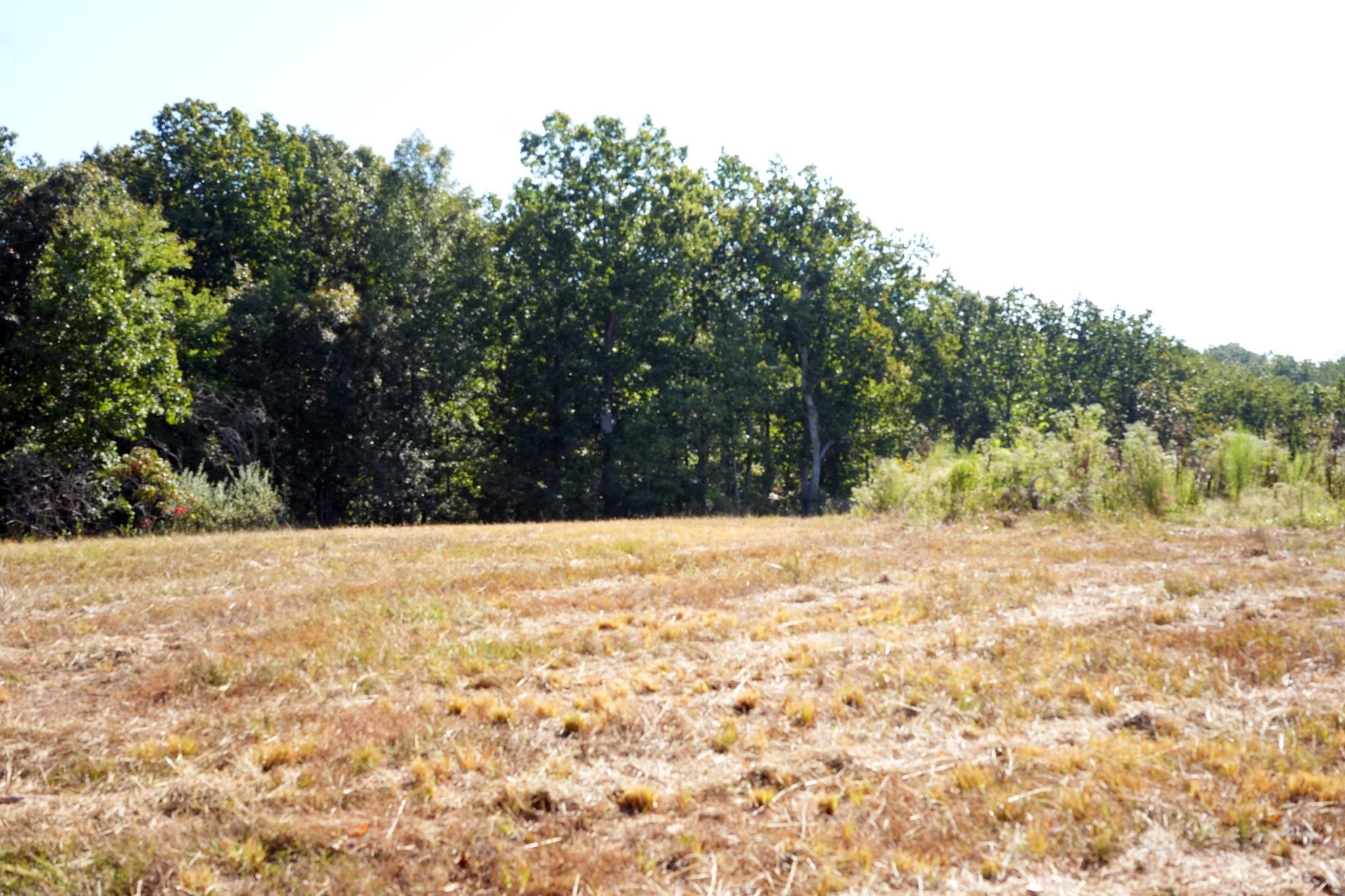 1960 Low Gap Rd Property Photo 22