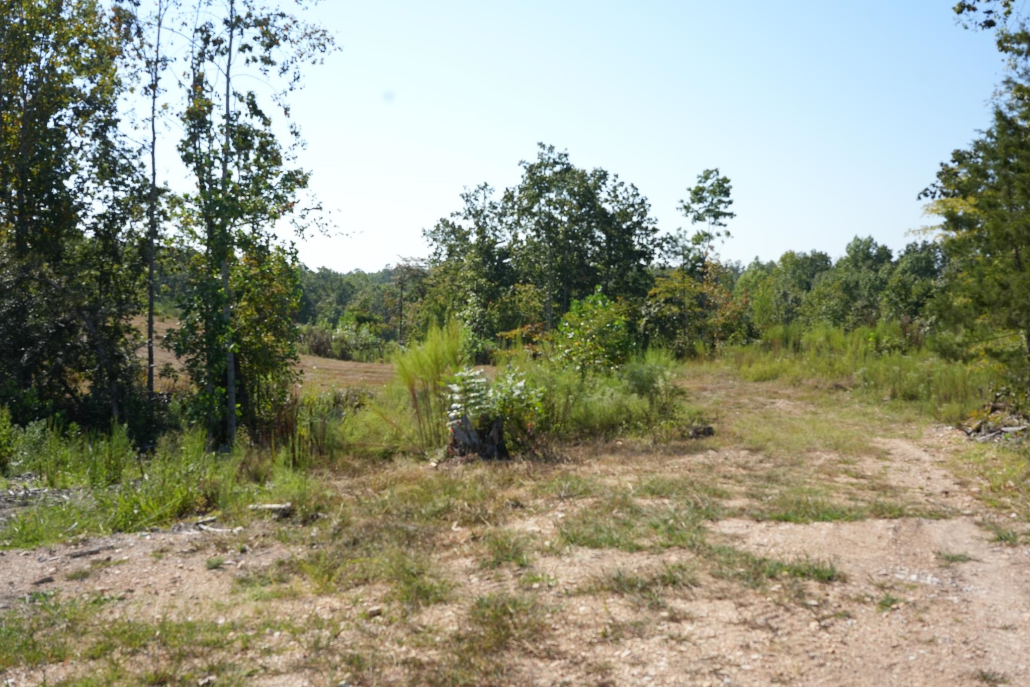 1960 Low Gap Rd Property Photo 26
